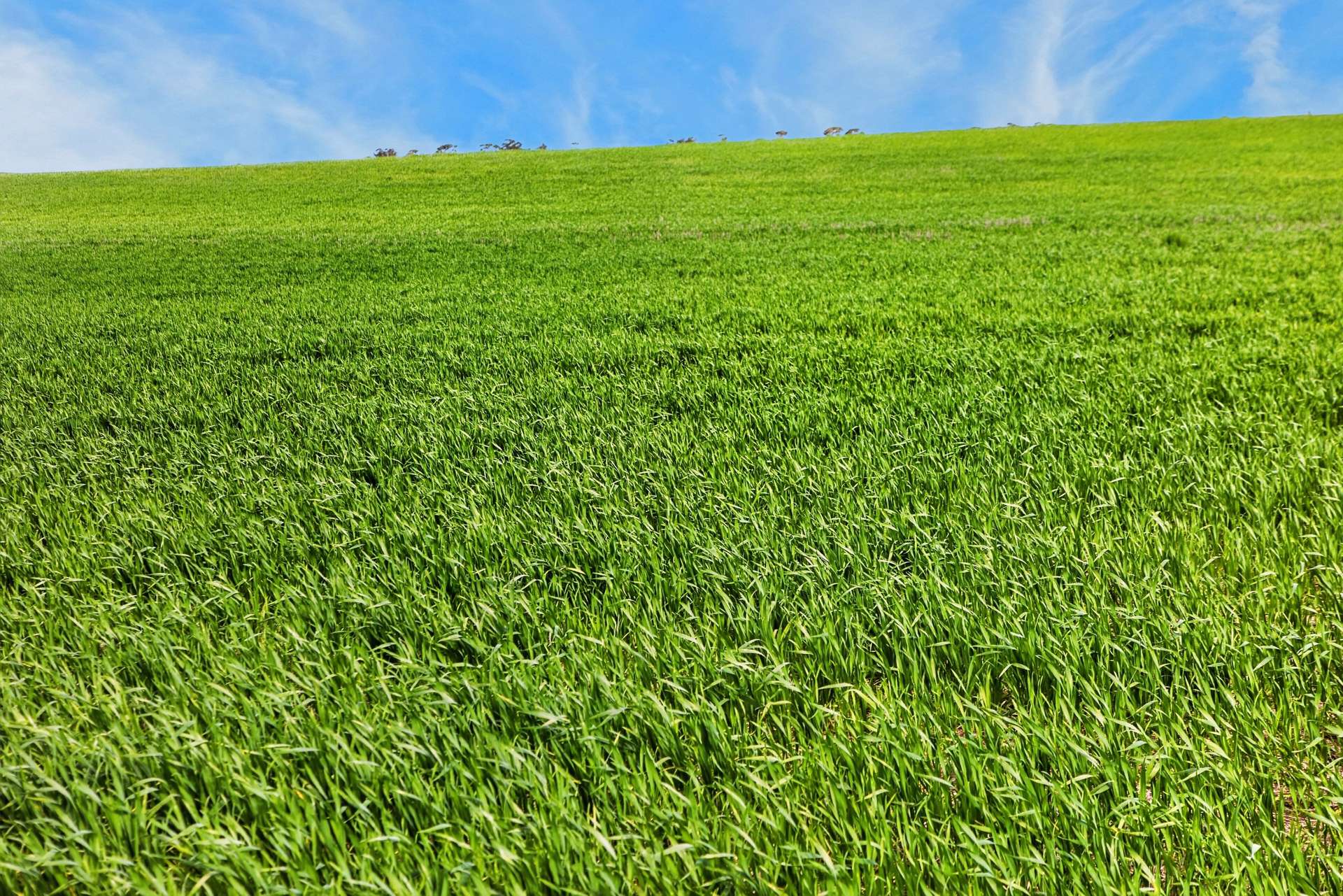 'Mungala' Murdinga-Murlong Road, Murlong For Sale by Farmbuy.com - image 2