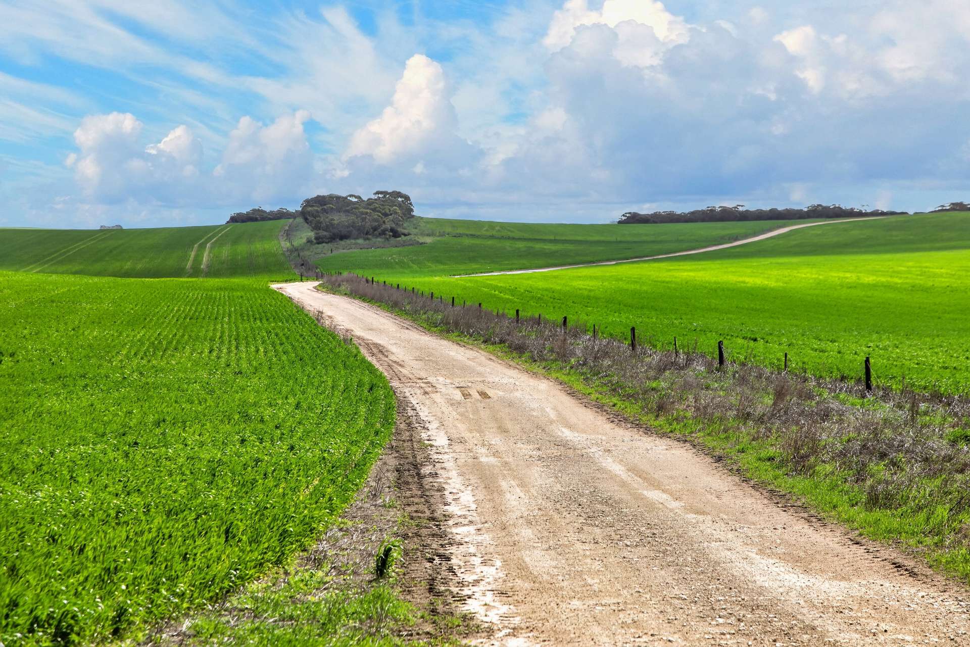 'Mungala' Murdinga-Murlong Road, Murlong For Sale by Farmbuy.com - image 4