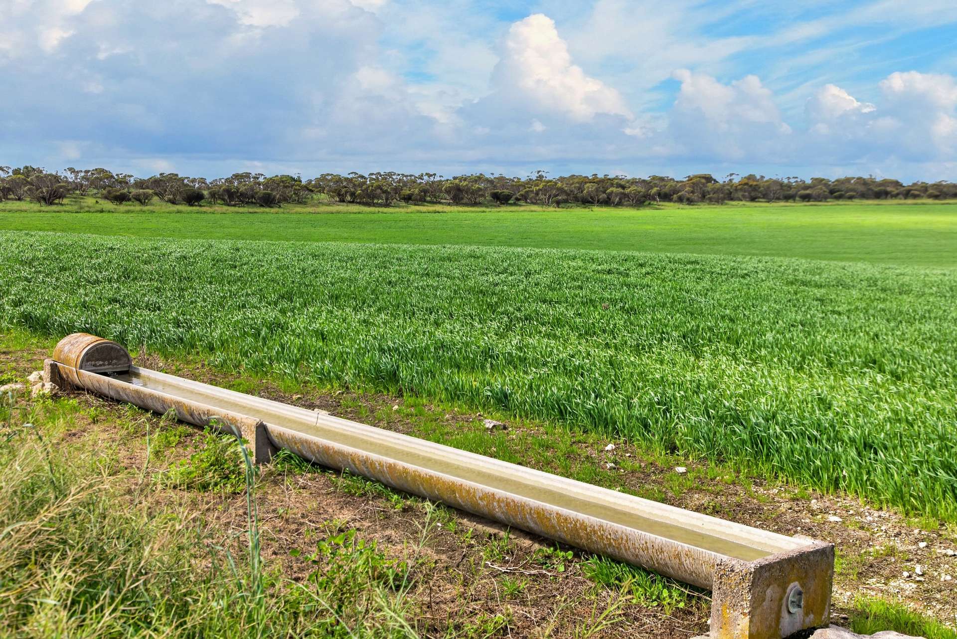 'Mungala' Murdinga-Murlong Road, Murlong For Sale by Farmbuy.com - image 6