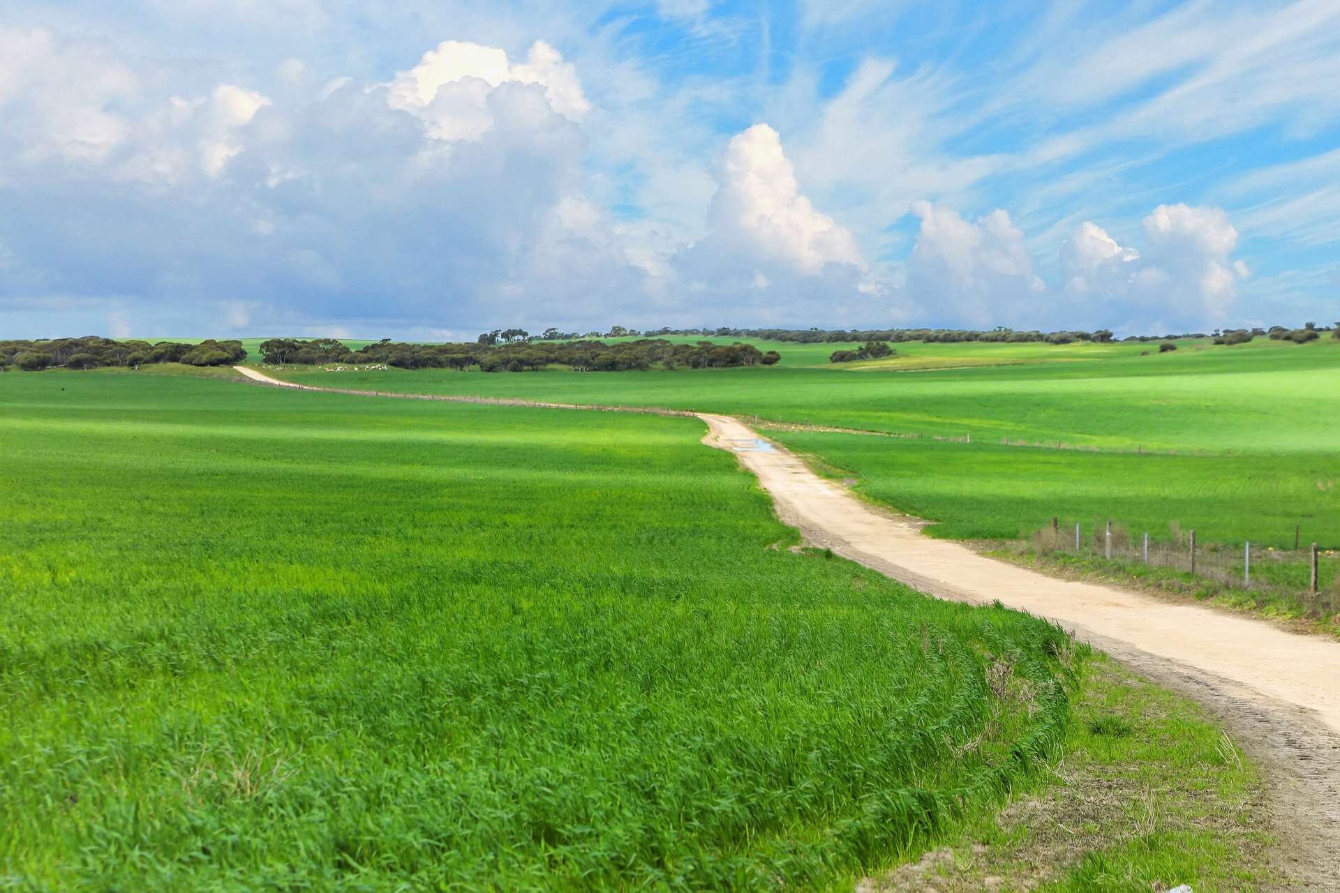 'Mungala' Murdinga-Murlong Road, Murlong For Sale by Farmbuy.com - image 7