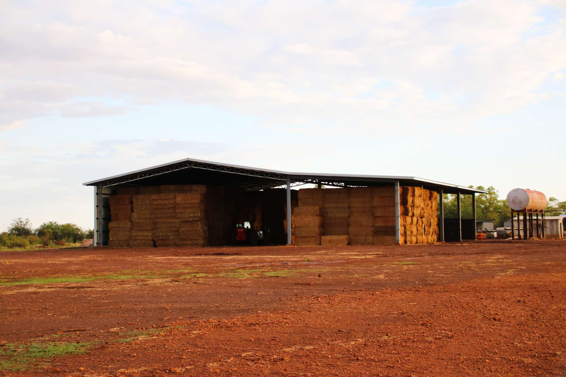 8540 Buntine Highway, Buchanan For Sale by Farmbuy.com - image 11