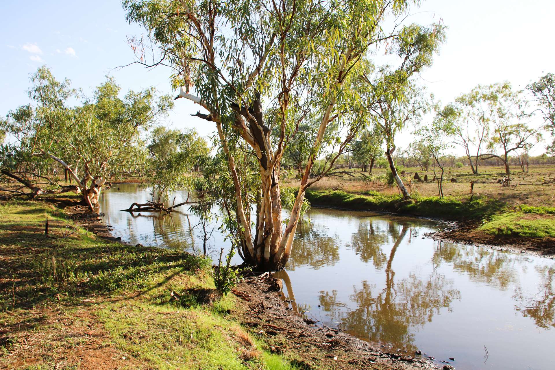 8540 Buntine Highway, Buchanan For Sale by Farmbuy.com - image 15