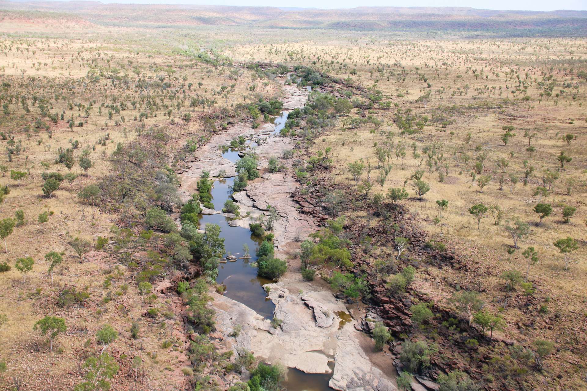 8540 Buntine Highway, Buchanan For Sale by Farmbuy.com - image 16