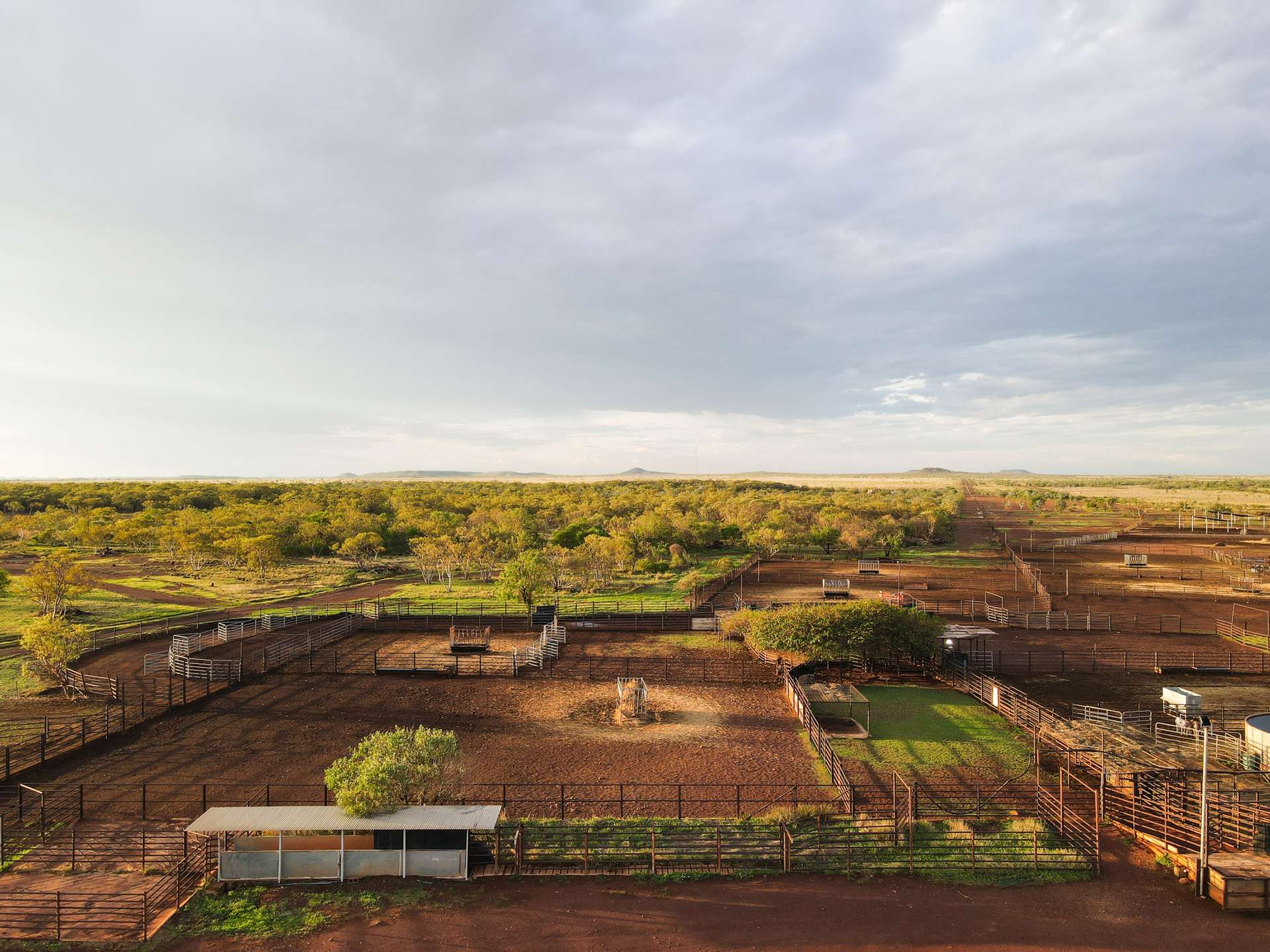 8540 Buntine Highway, Buchanan For Sale by Farmbuy.com - image 2
