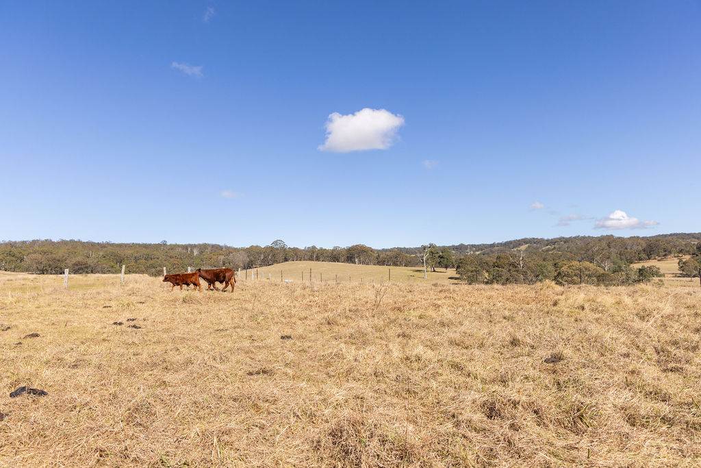 4245 Esk Hampton Road, Hampton For Sale by Farmbuy.com - image 10
