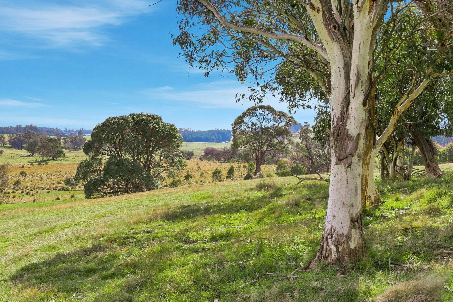 98 Jerula Road, Oberon Auction by Farmbuy.com - image 31