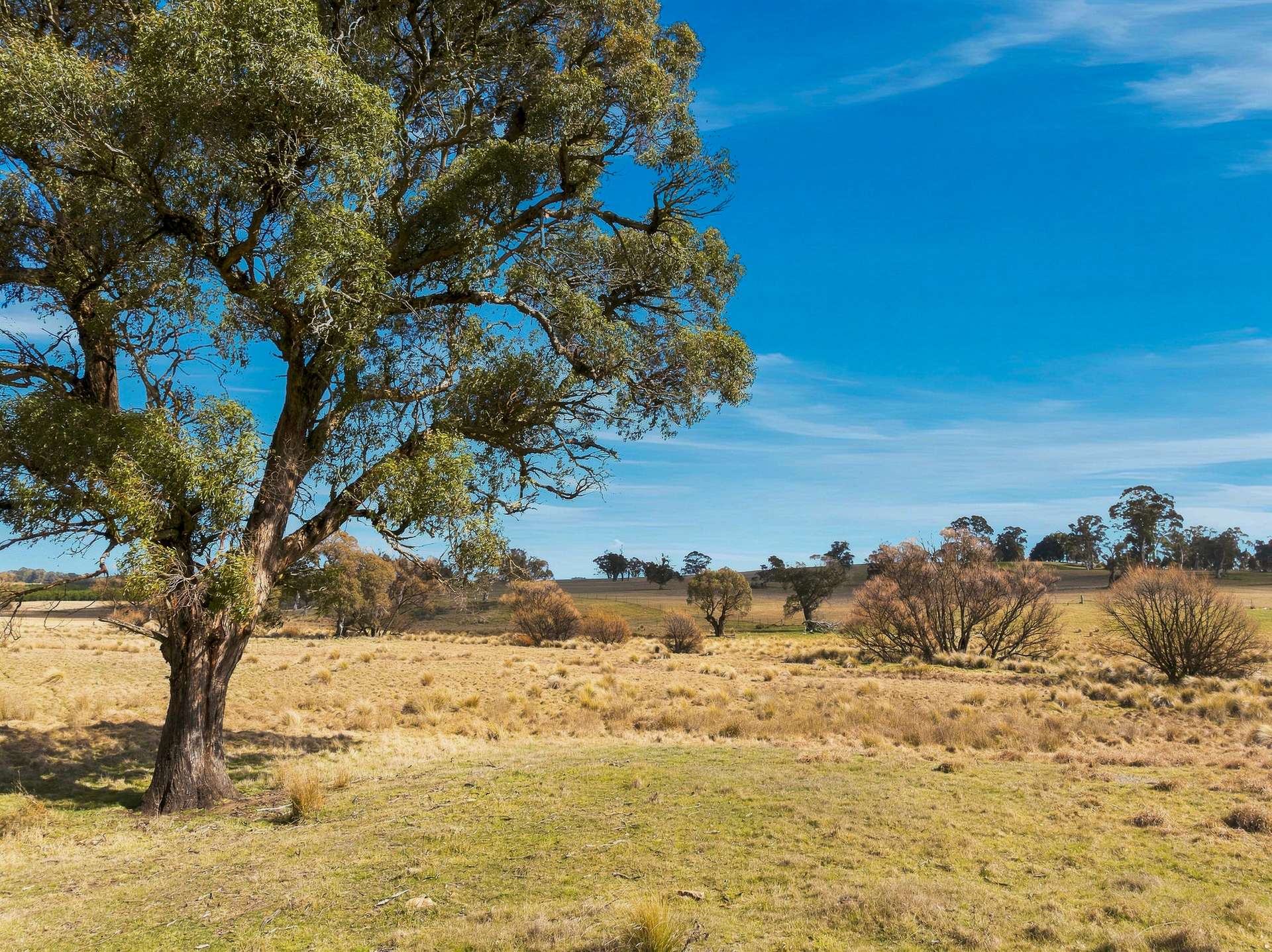 98 Jerula Road, Oberon Auction by Farmbuy.com - image 10