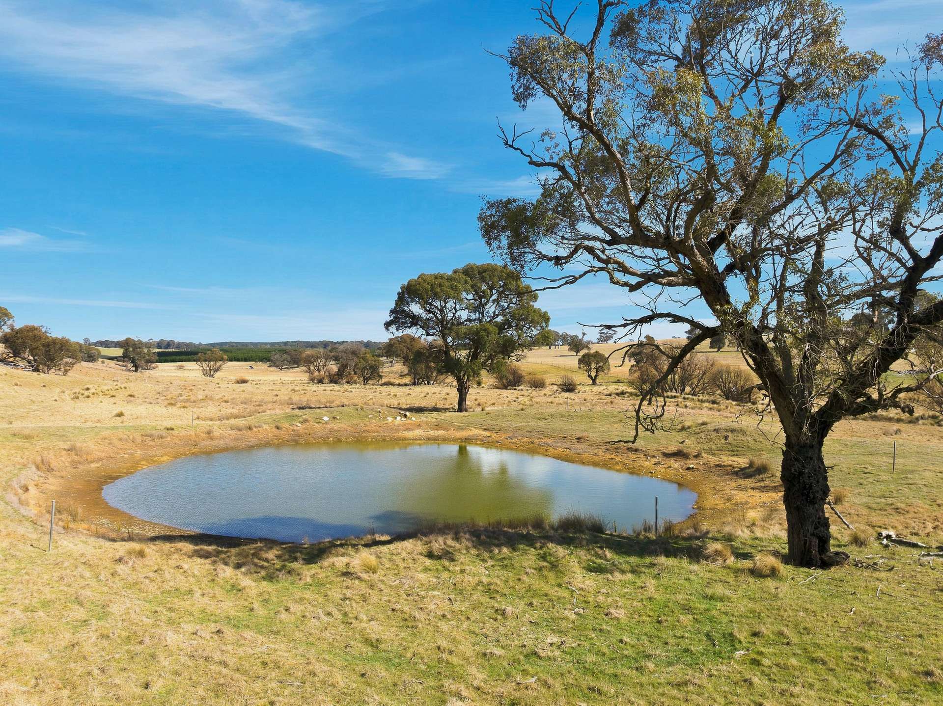 98 Jerula Road, Oberon Auction by Farmbuy.com - image 9