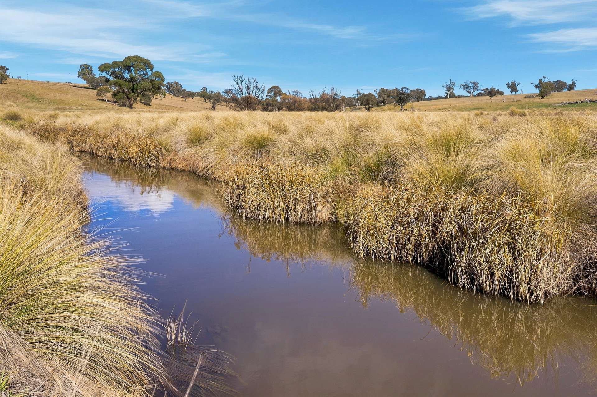 98 Jerula Road, Oberon Auction by Farmbuy.com - image 11