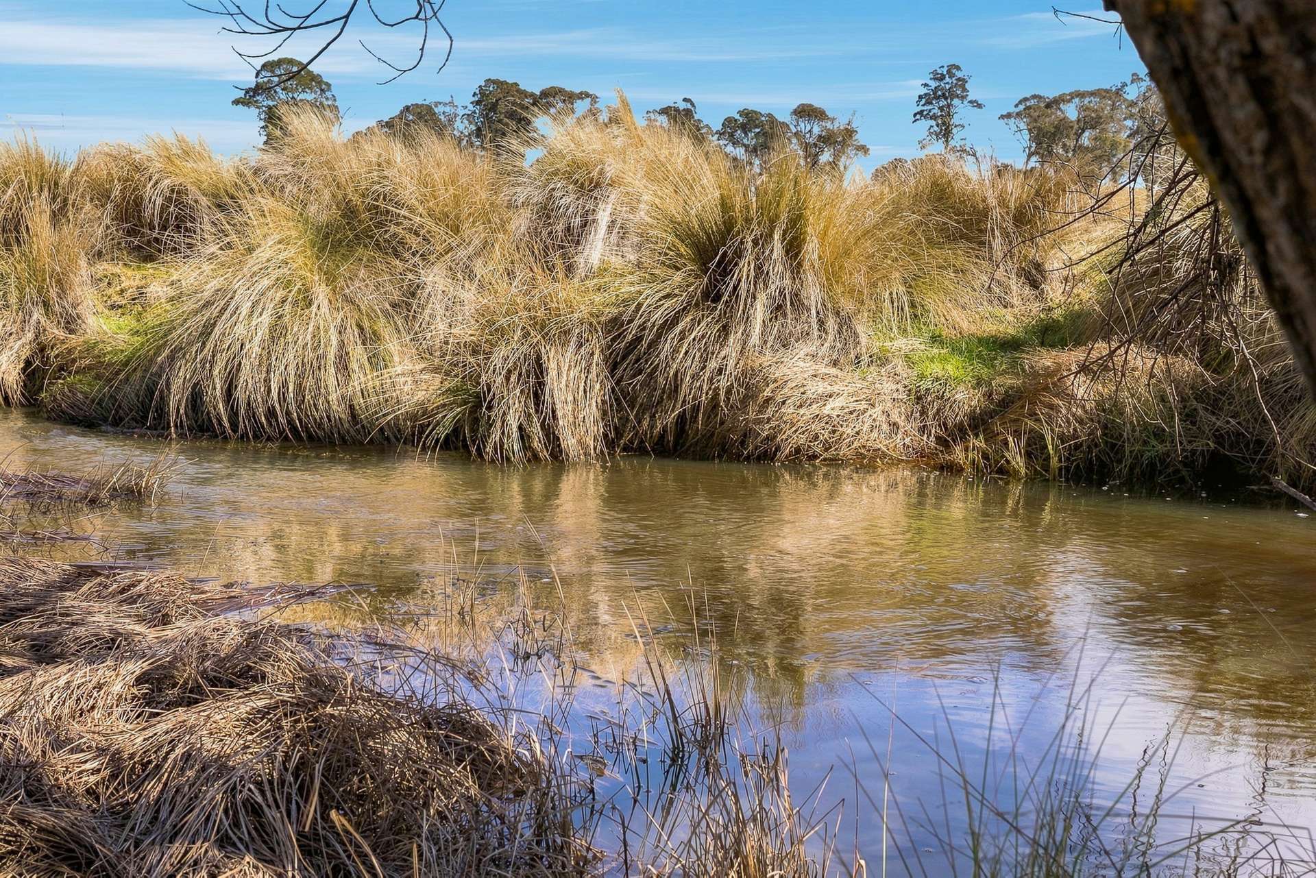 98 Jerula Road, Oberon Auction by Farmbuy.com - image 3