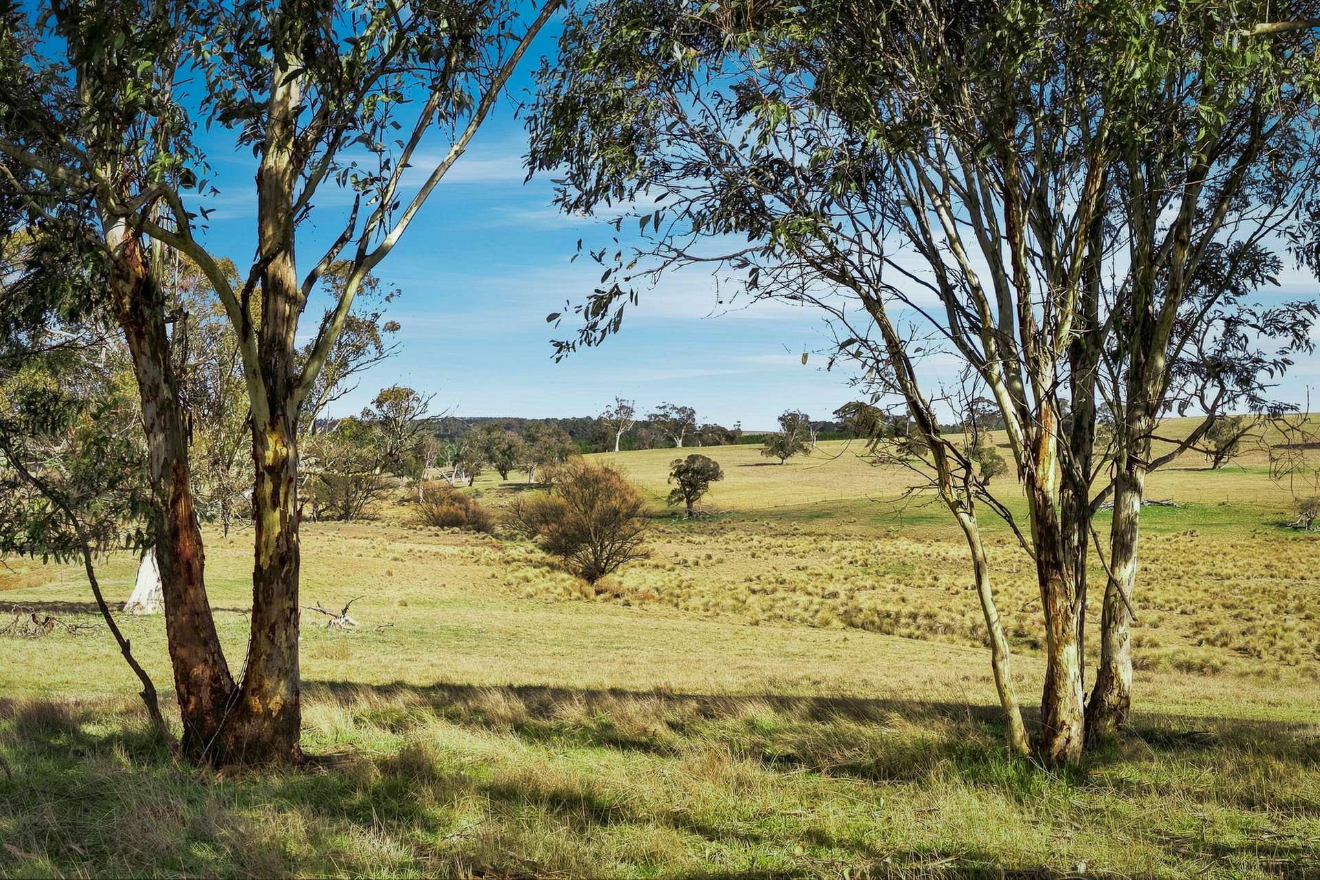 98 Jerula Road, Oberon Auction by Farmbuy.com - image 30