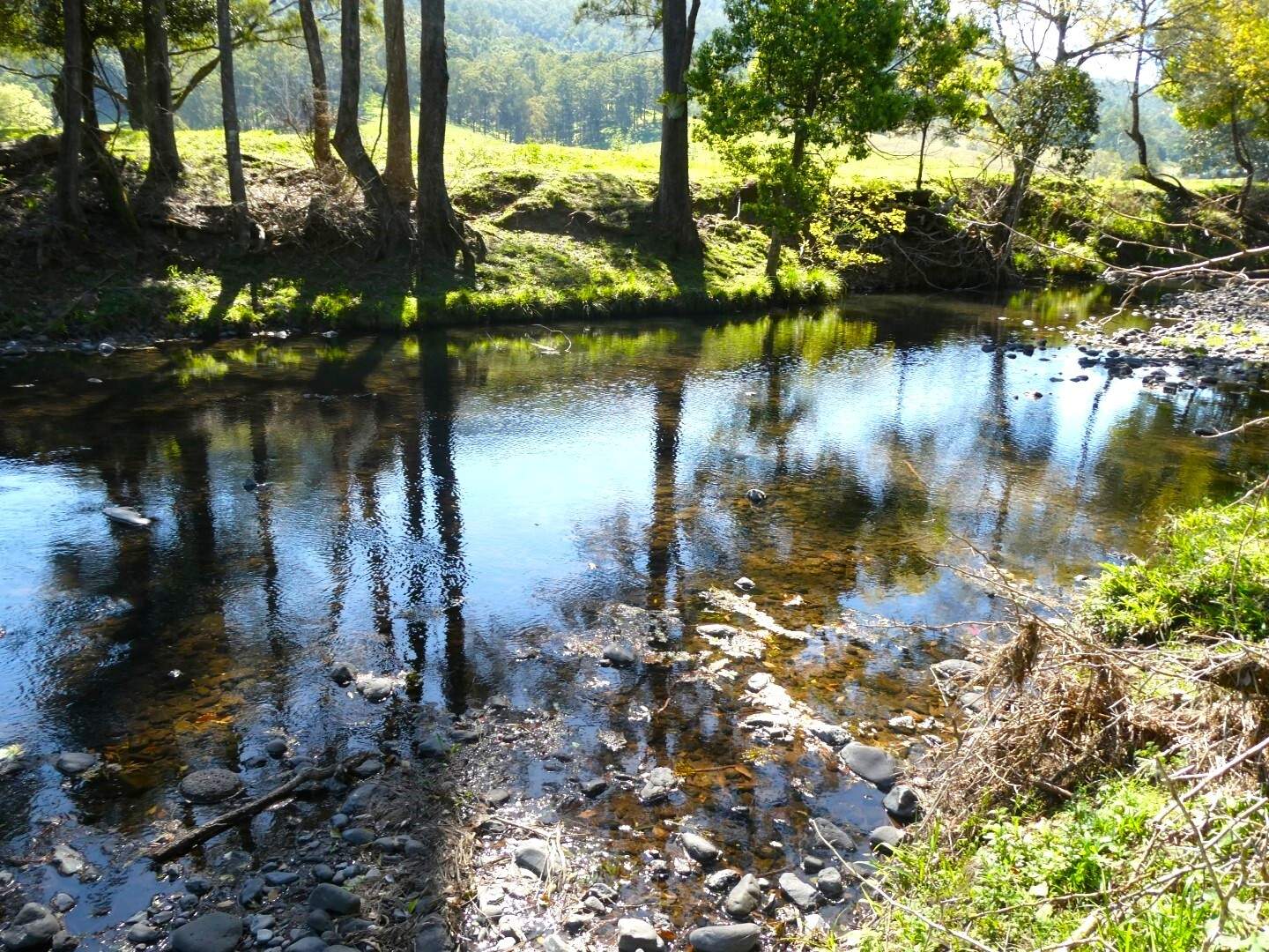 1592 Collins Creek Road, Kyogle For Sale by Farmbuy.com - image 6