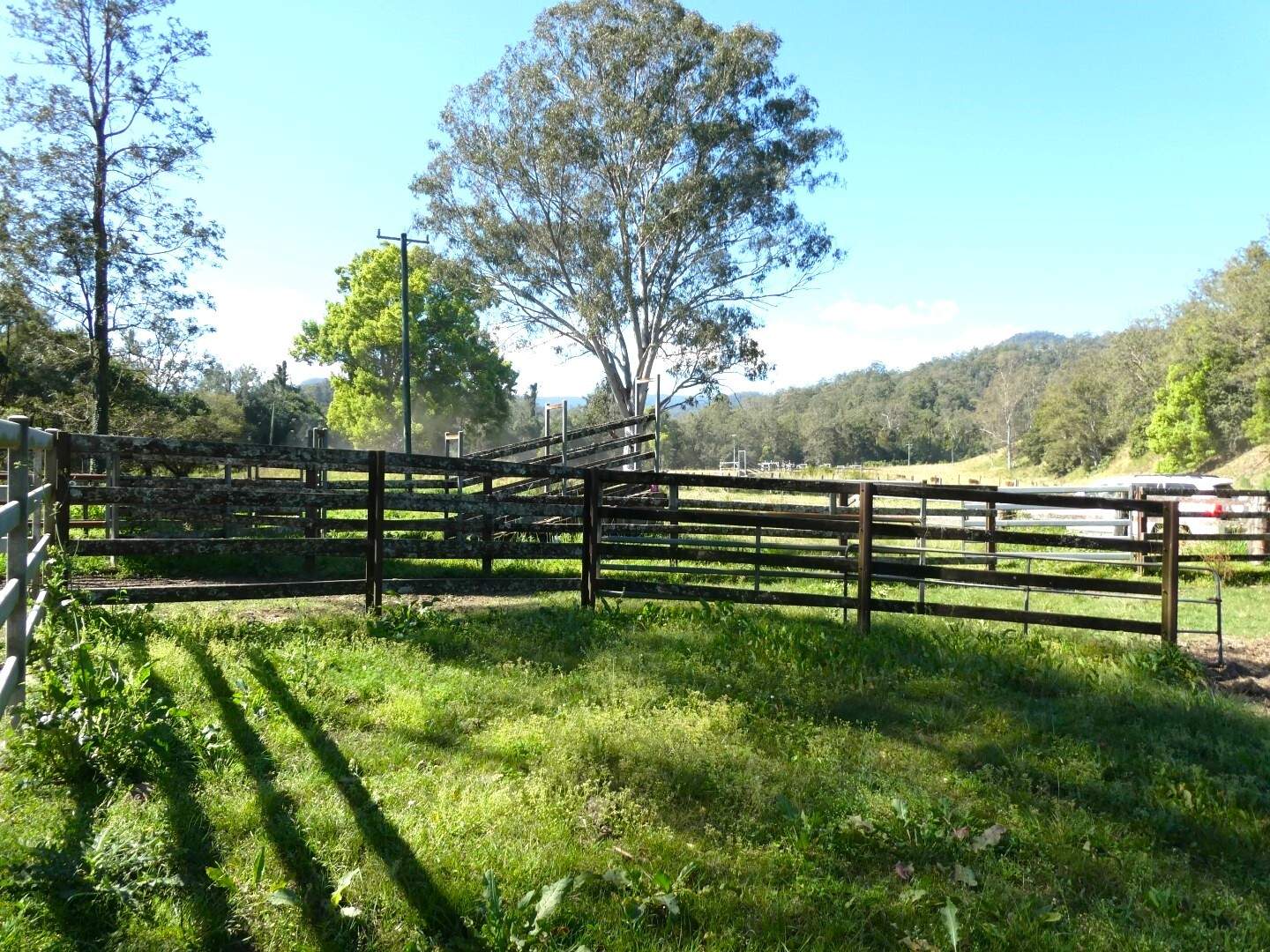 1592 Collins Creek Road, Kyogle For Sale by Farmbuy.com - image 33