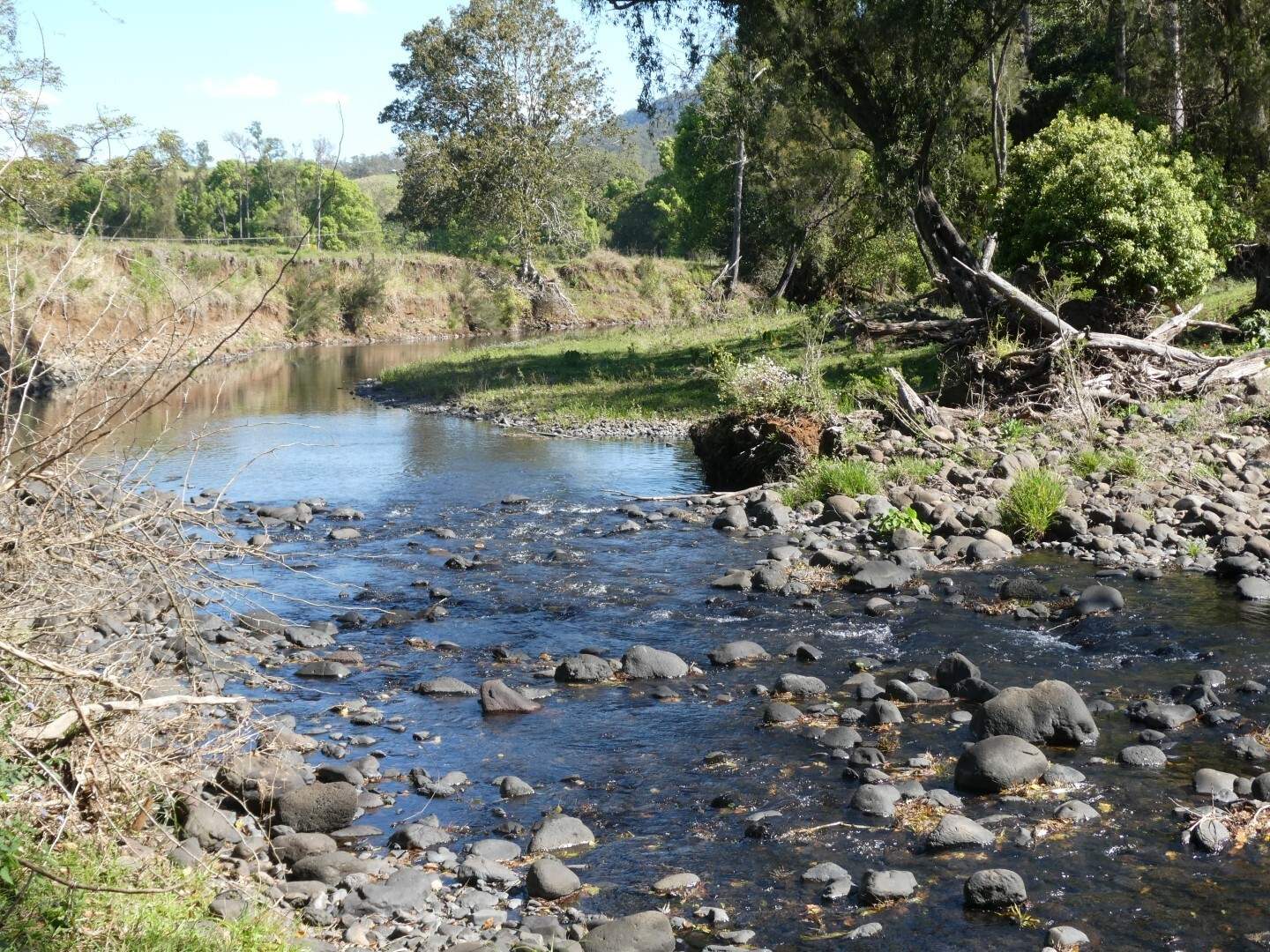 1592 Collins Creek Road, Kyogle For Sale by Farmbuy.com - image 6