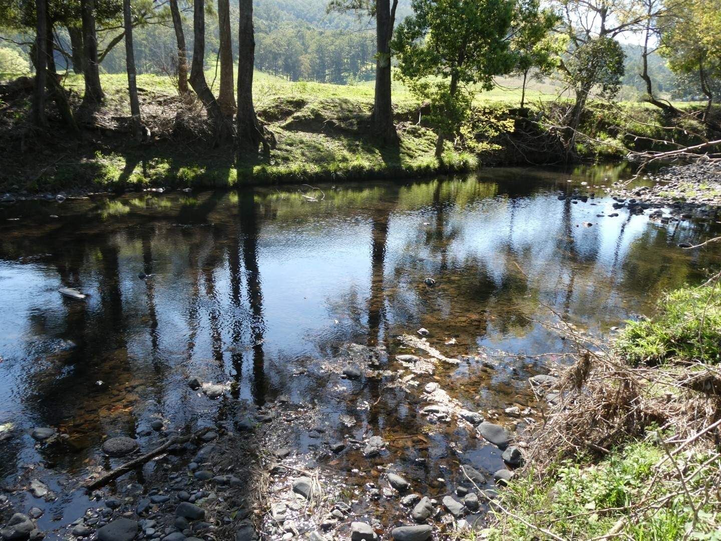 1592 Collins Creek Road, Kyogle For Sale by Farmbuy.com - image 7