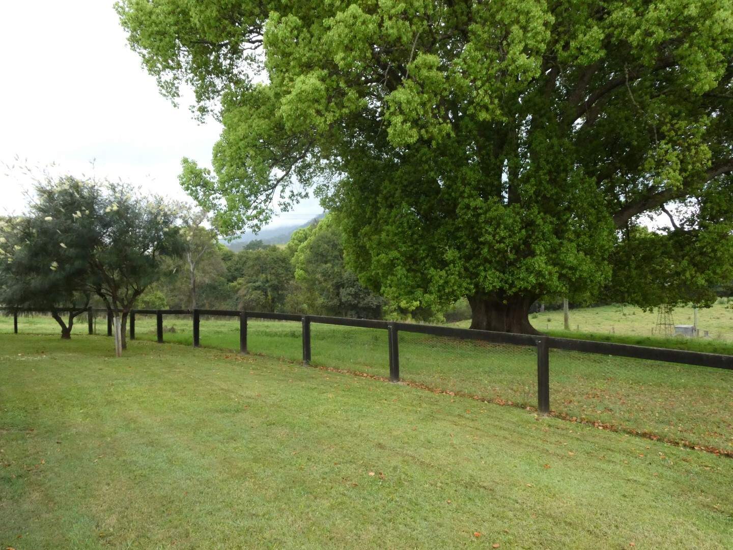 1592 Collins Creek Road, Kyogle For Sale by Farmbuy.com - image 29