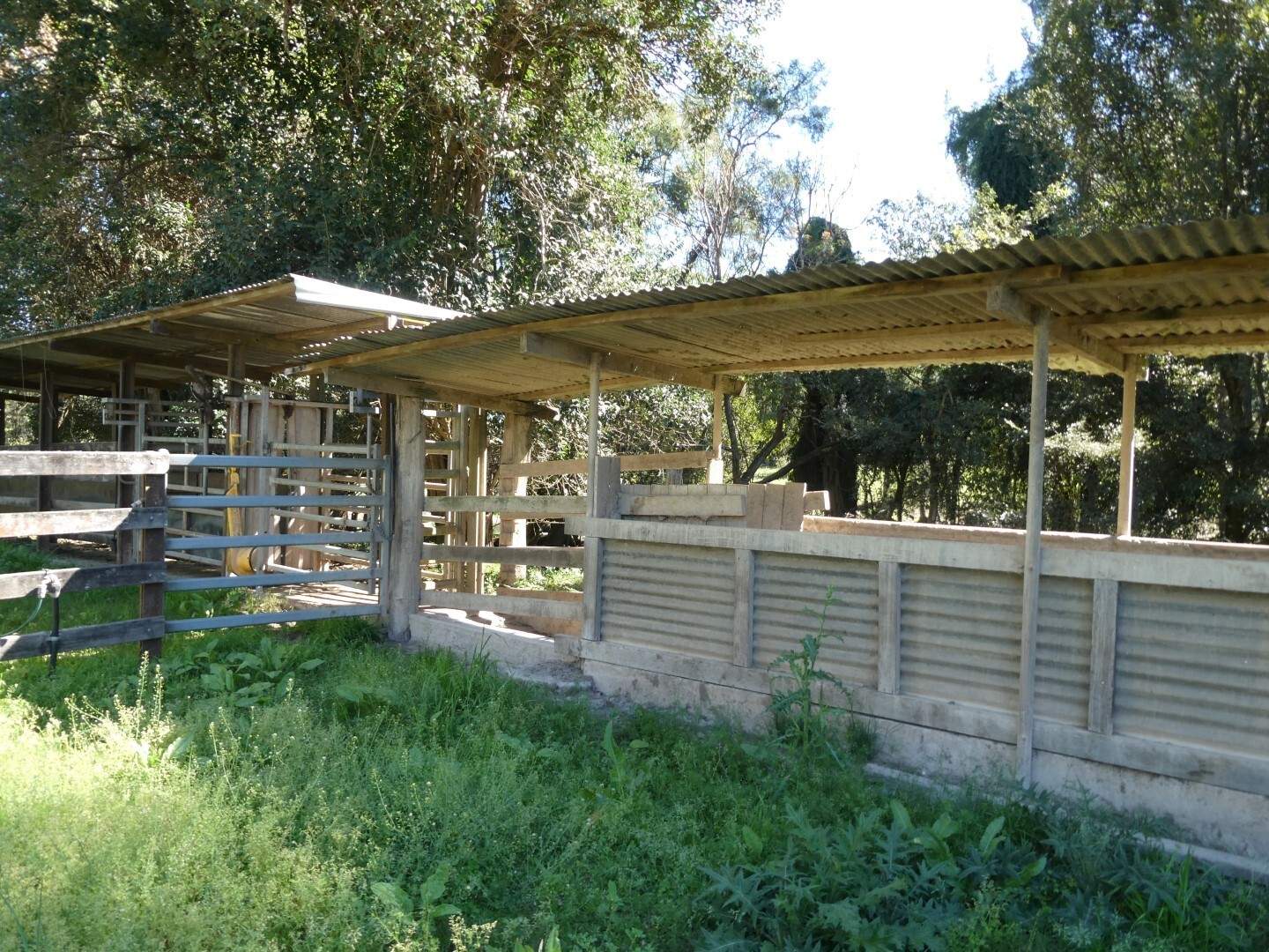 1592 Collins Creek Road, Kyogle For Sale by Farmbuy.com - image 30