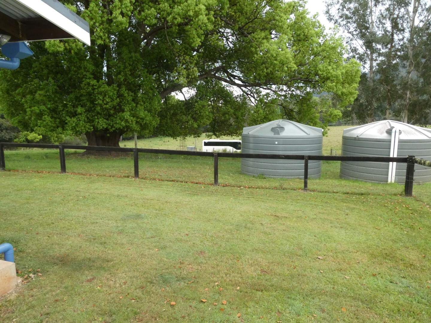 1592 Collins Creek Road, Kyogle For Sale by Farmbuy.com - image 28
