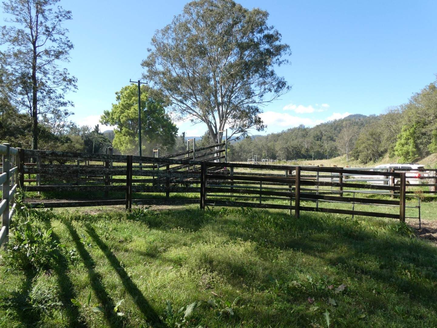 1592 Collins Creek Road, Kyogle For Sale by Farmbuy.com - image 33