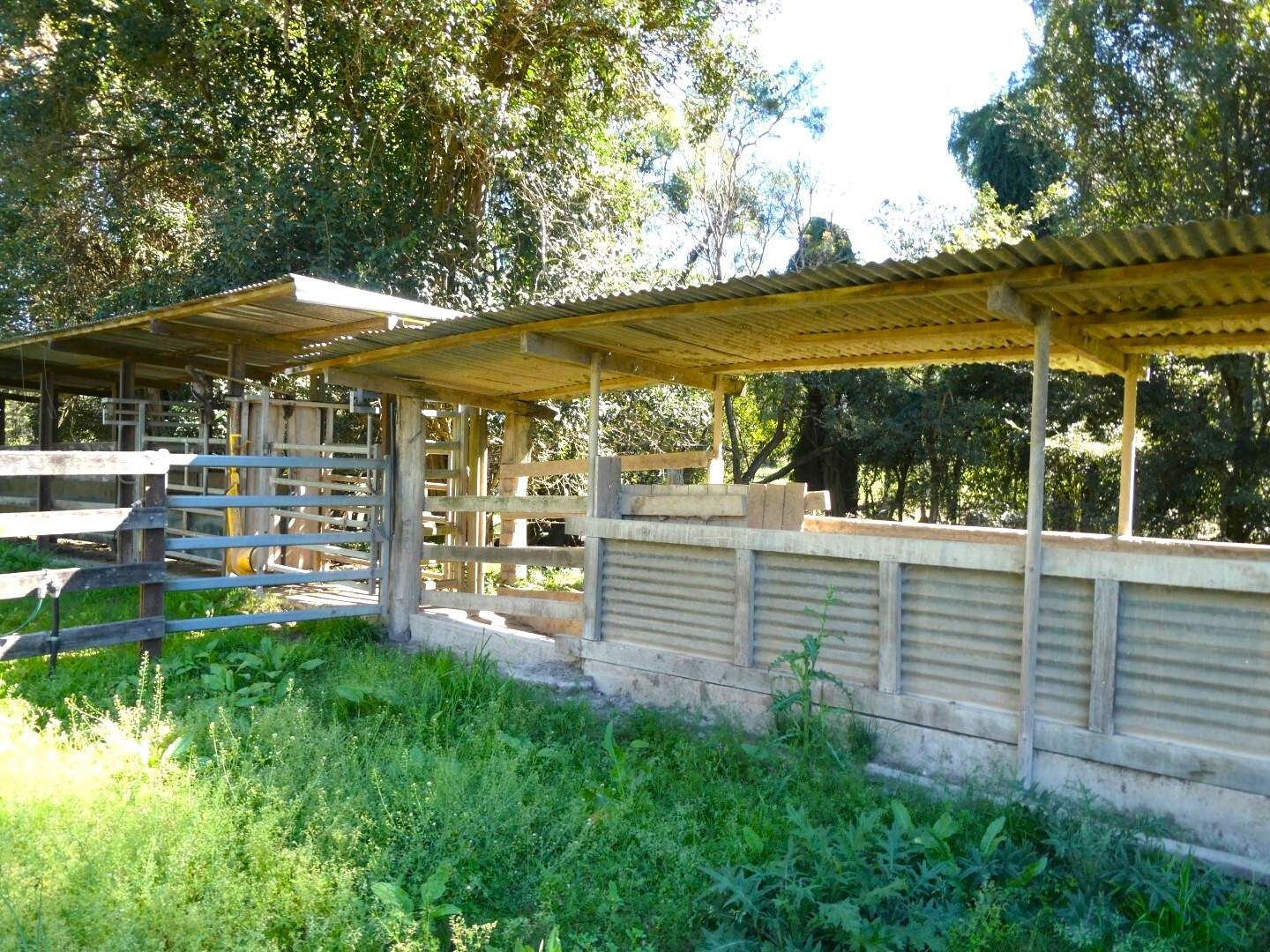 1592 Collins Creek Road, Kyogle For Sale by Farmbuy.com - image 30