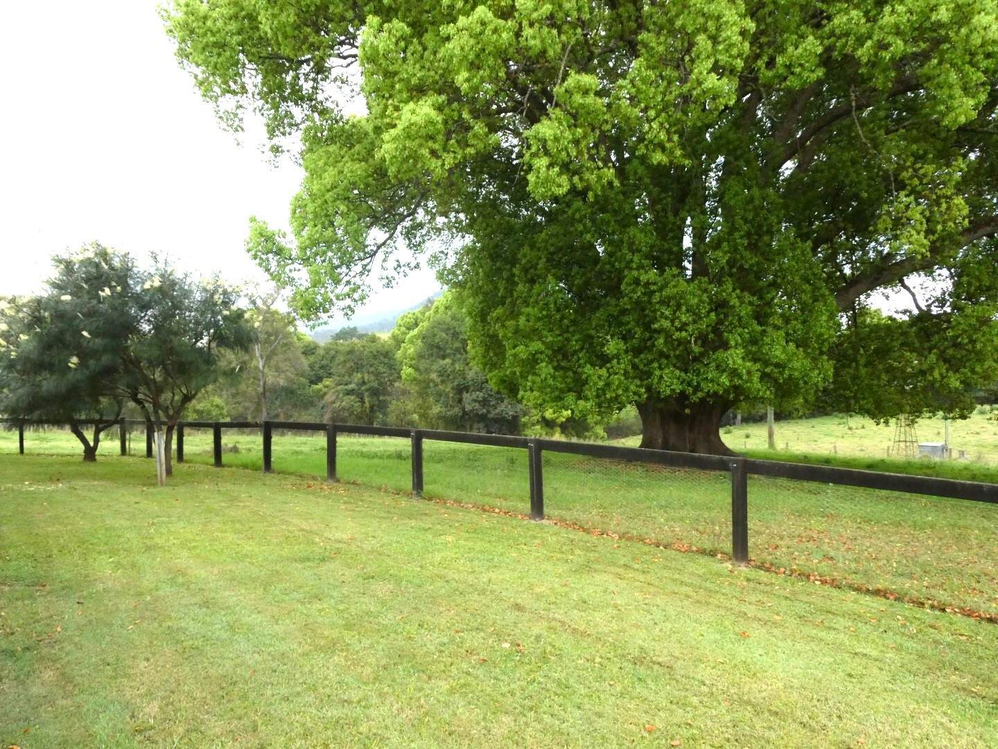 1592 Collins Creek Road, Kyogle For Sale by Farmbuy.com - image 29