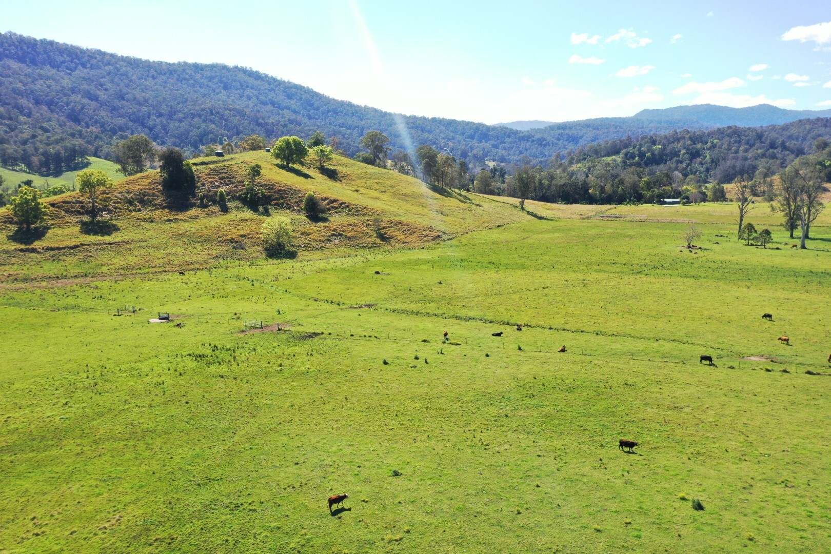 1592 Collins Creek Road, Kyogle For Sale by Farmbuy.com - image 3