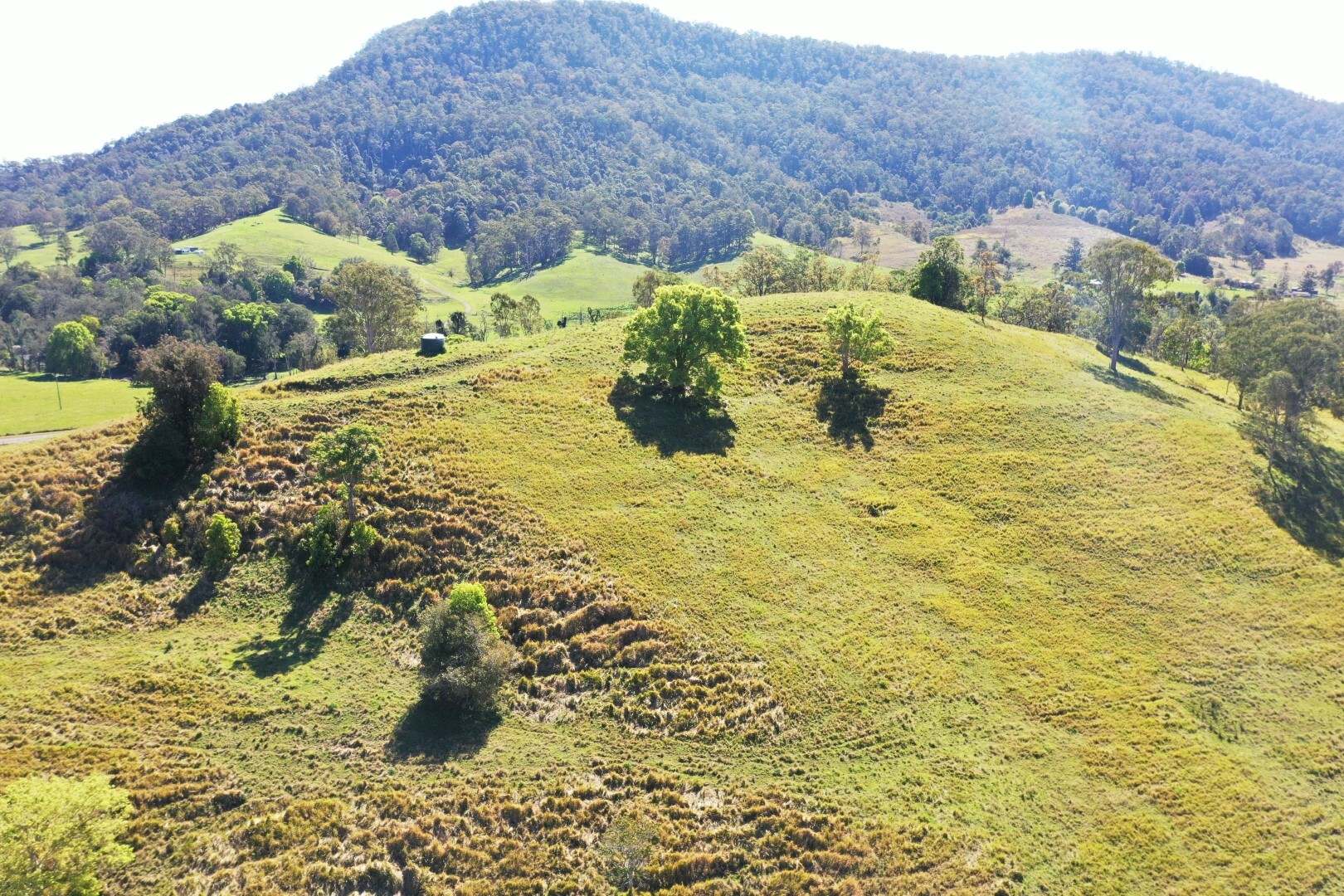 1592 Collins Creek Road, Kyogle For Sale by Farmbuy.com - image 12