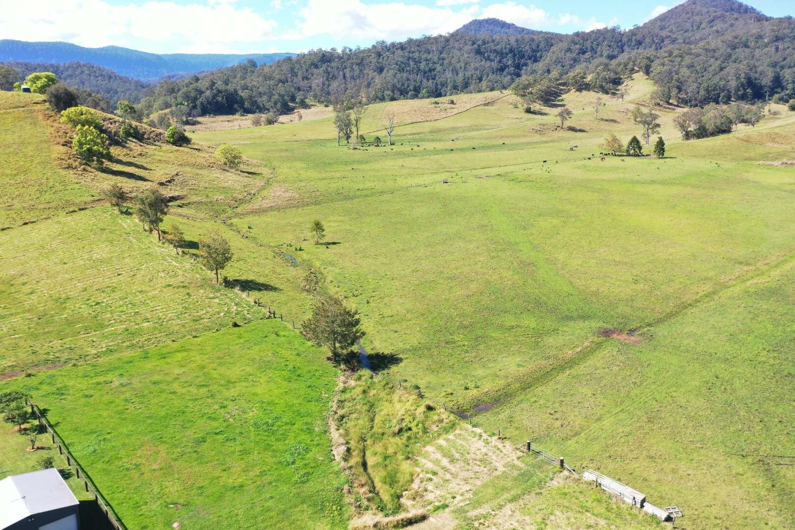 1592 Collins Creek Road, Kyogle For Sale by Farmbuy.com - image 9