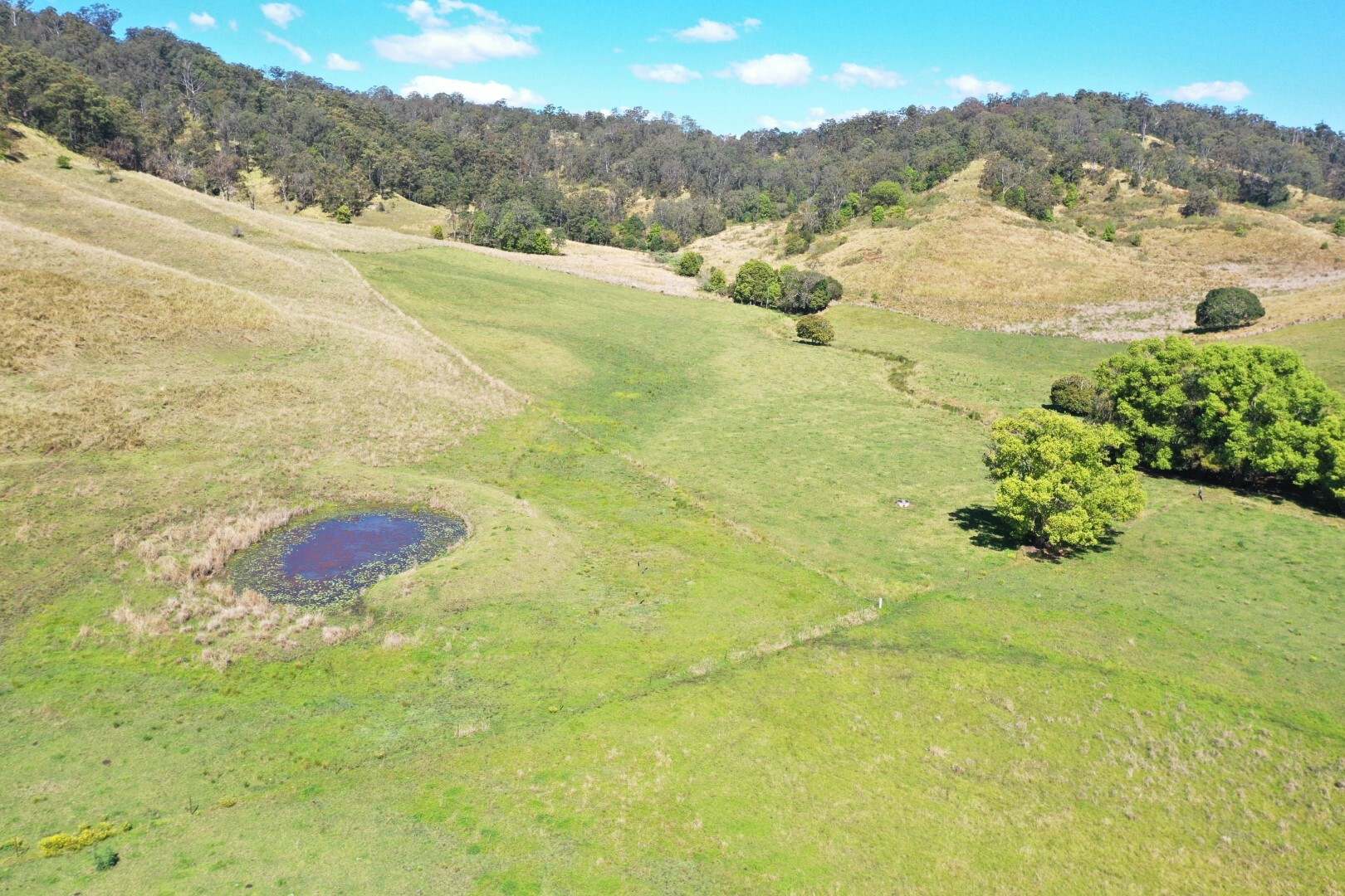 1592 Collins Creek Road, Kyogle For Sale by Farmbuy.com - image 11