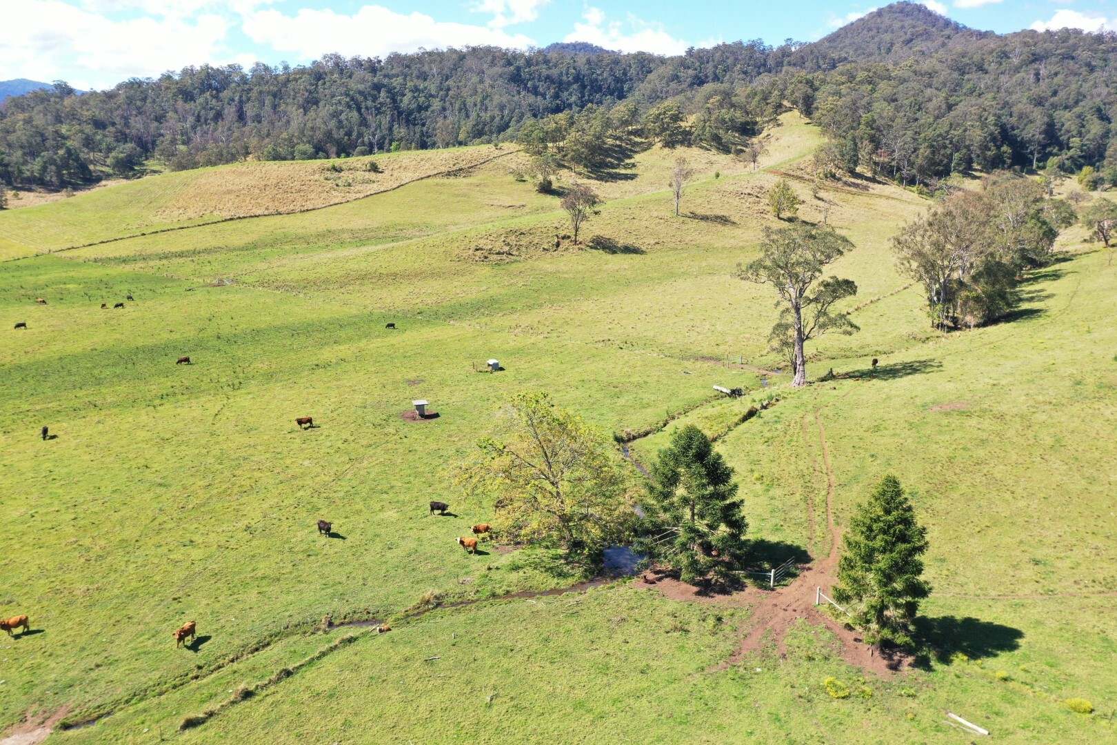1592 Collins Creek Road, Kyogle For Sale by Farmbuy.com - image 10