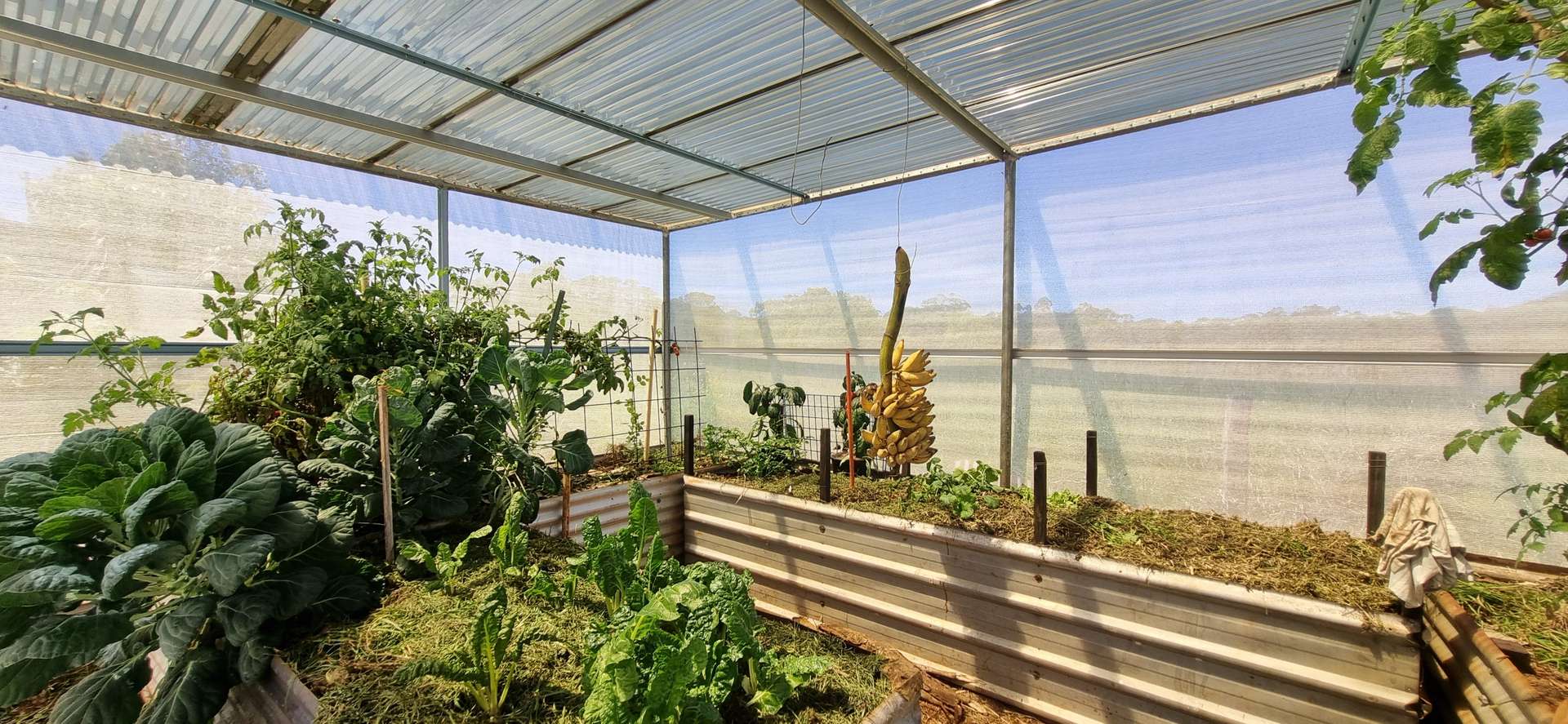 13125 Kennedy Highway, Ravenshoe For Sale by Farmbuy.com - image 19