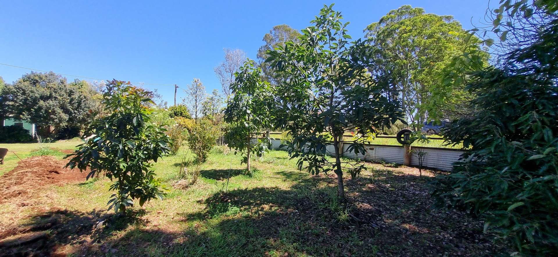 13125 Kennedy Highway, Ravenshoe For Sale by Farmbuy.com - image 35