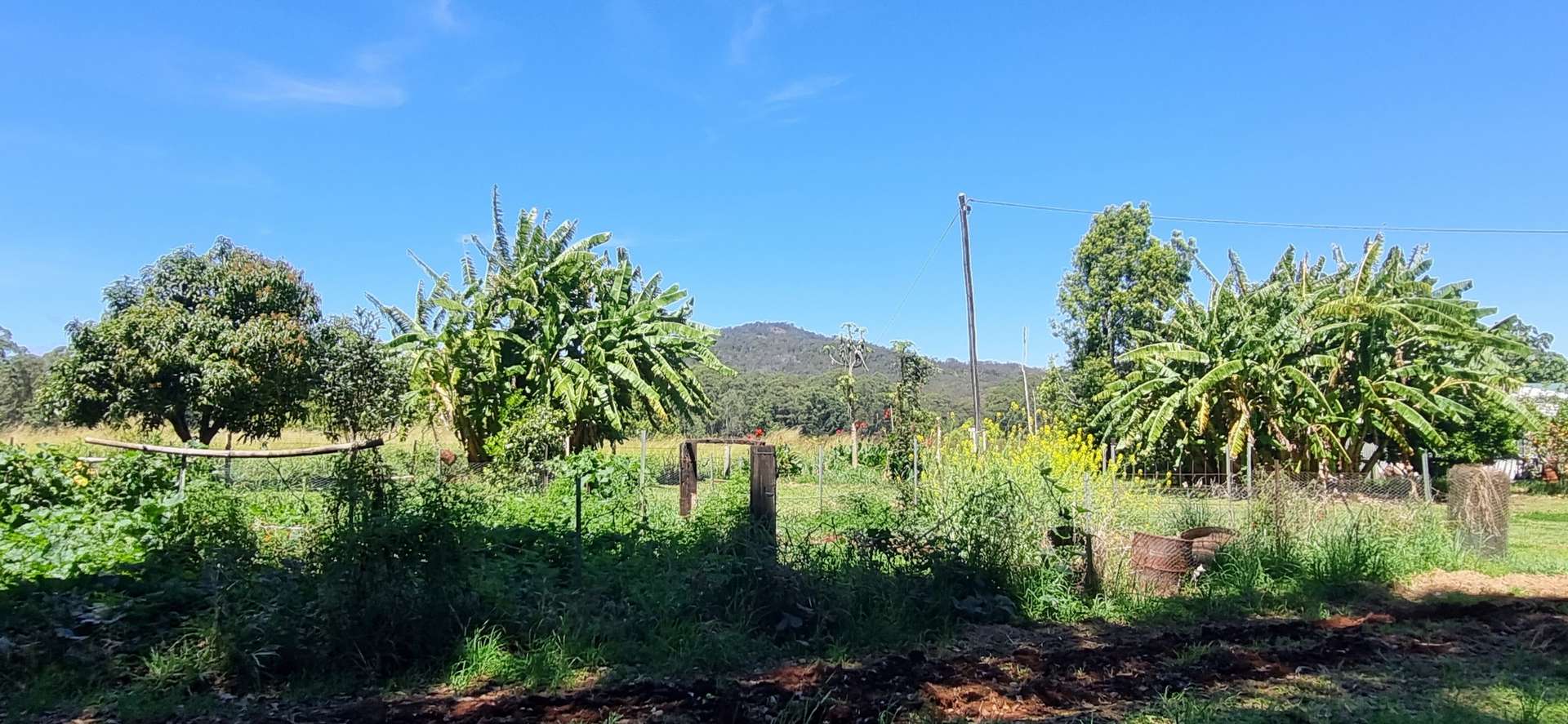 13125 Kennedy Highway, Ravenshoe For Sale by Farmbuy.com - image 34