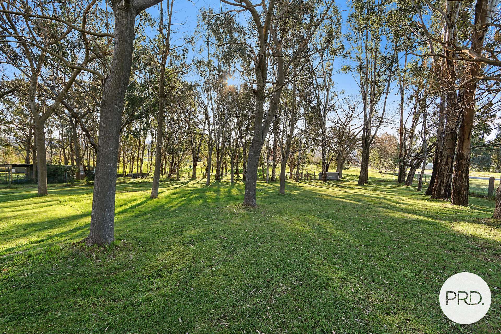 94 Gap Flat Road, Allans Flat For Sale by Farmbuy.com - image 24