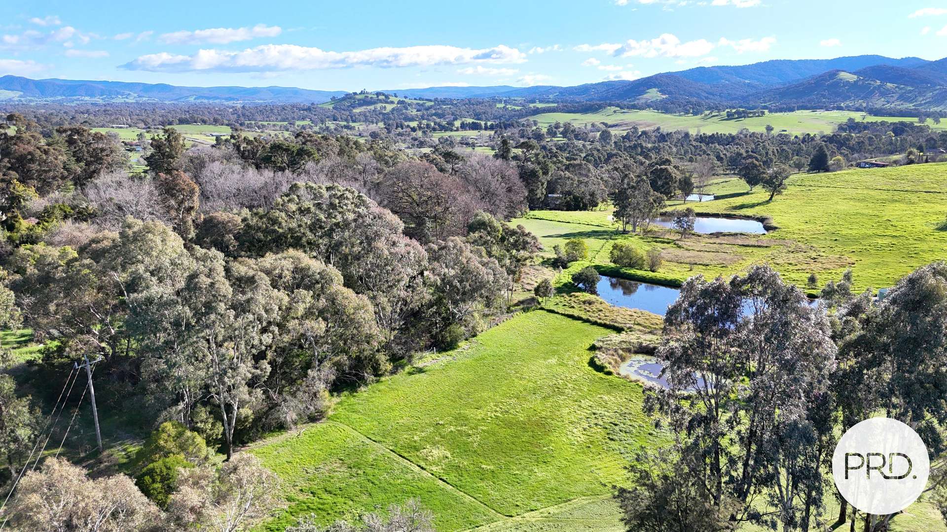 94 Gap Flat Road, Allans Flat For Sale by Farmbuy.com - image 25