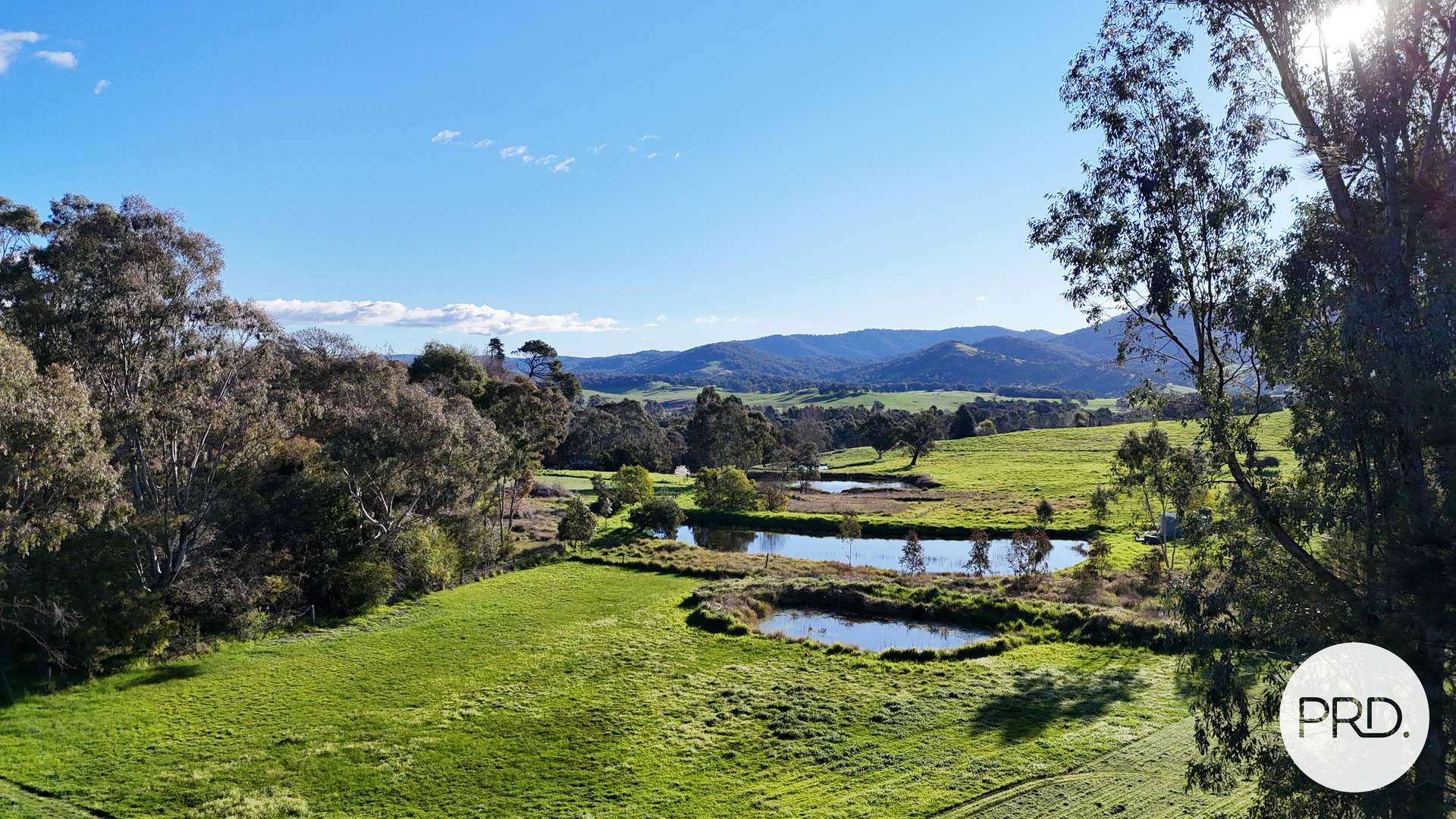 94 Gap Flat Road, Allans Flat For Sale by Farmbuy.com - image 7