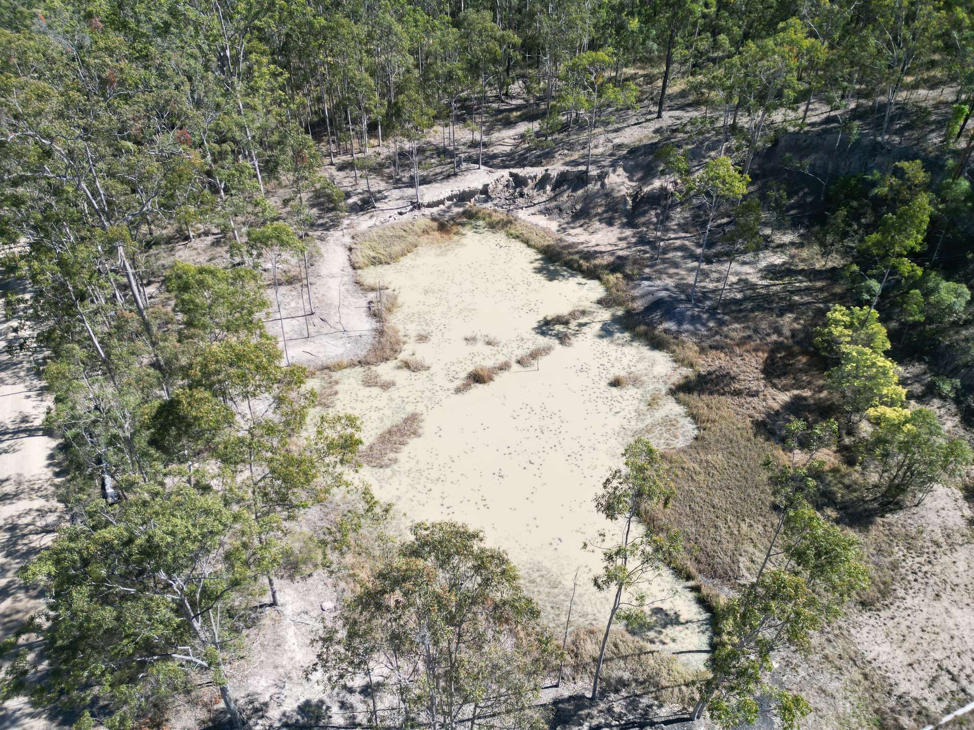 145 Coalmine Road, Nymboida For Sale by Farmbuy.com - image 4