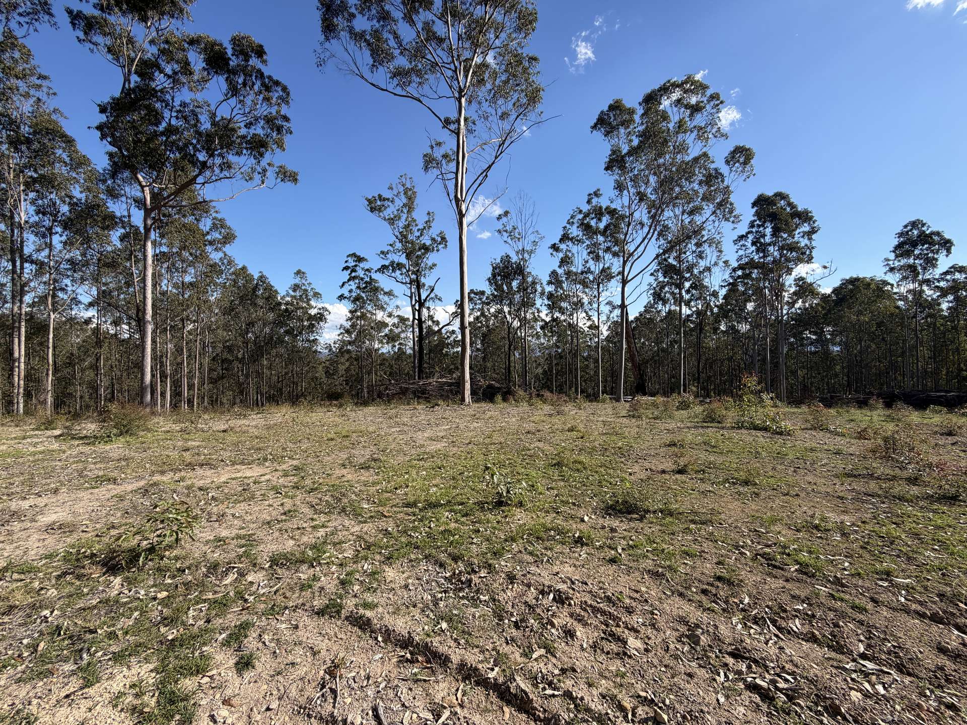 145 Coalmine Road, Nymboida For Sale by Farmbuy.com - image 11