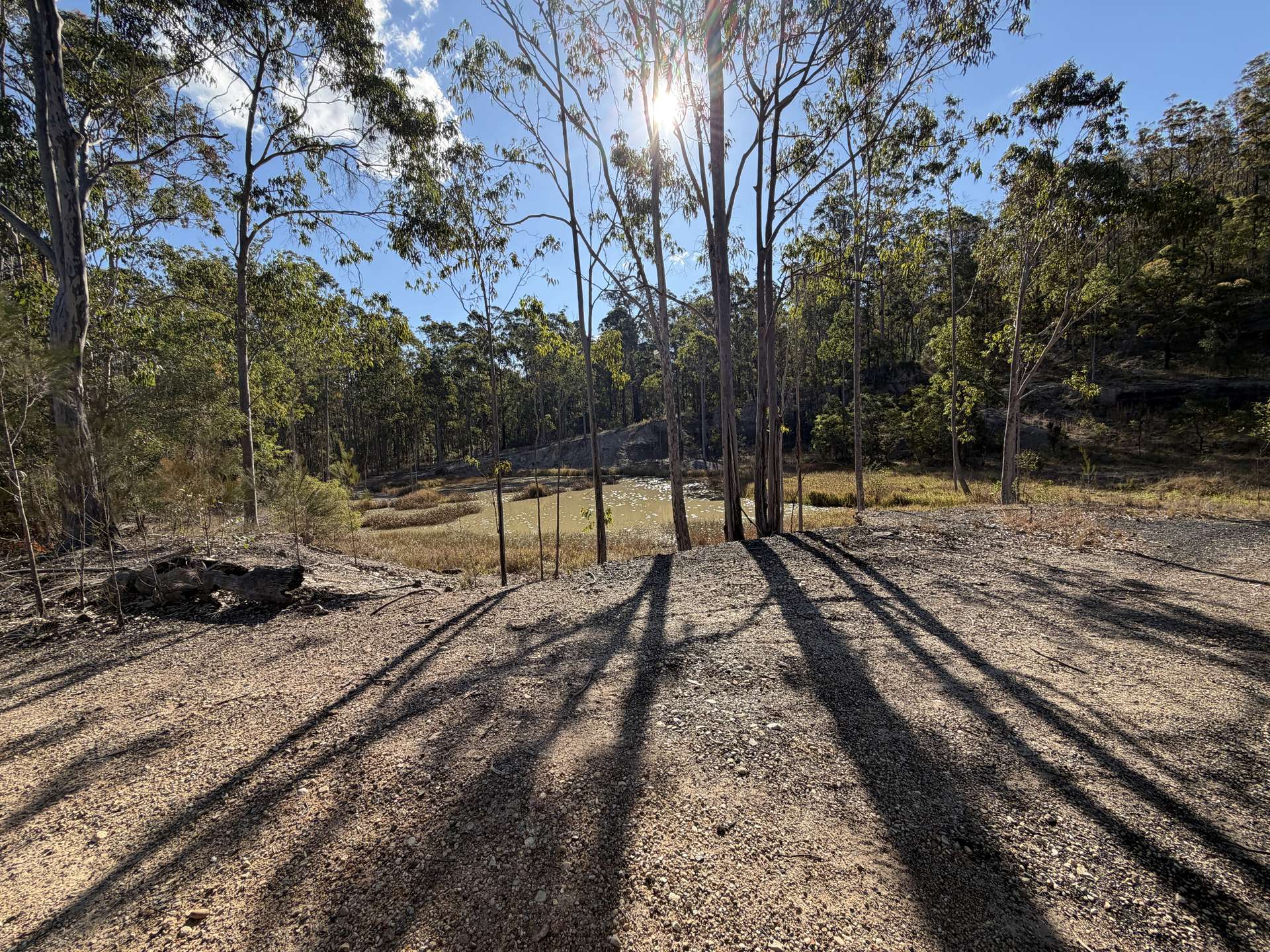 145 Coalmine Road, Nymboida For Sale by Farmbuy.com - image 12