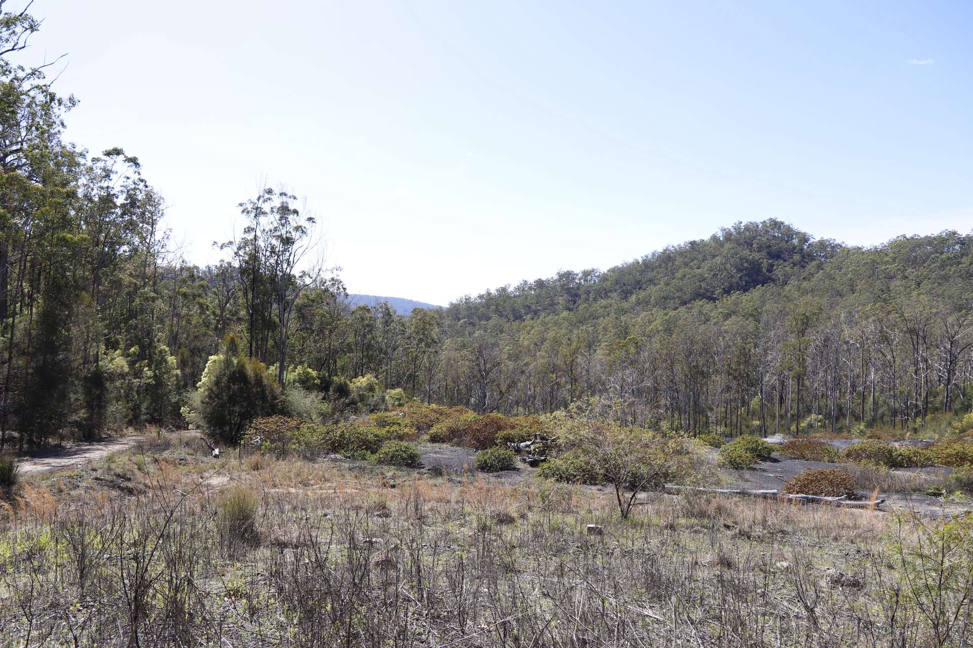 145 Coalmine Road, Nymboida For Sale by Farmbuy.com - image 3