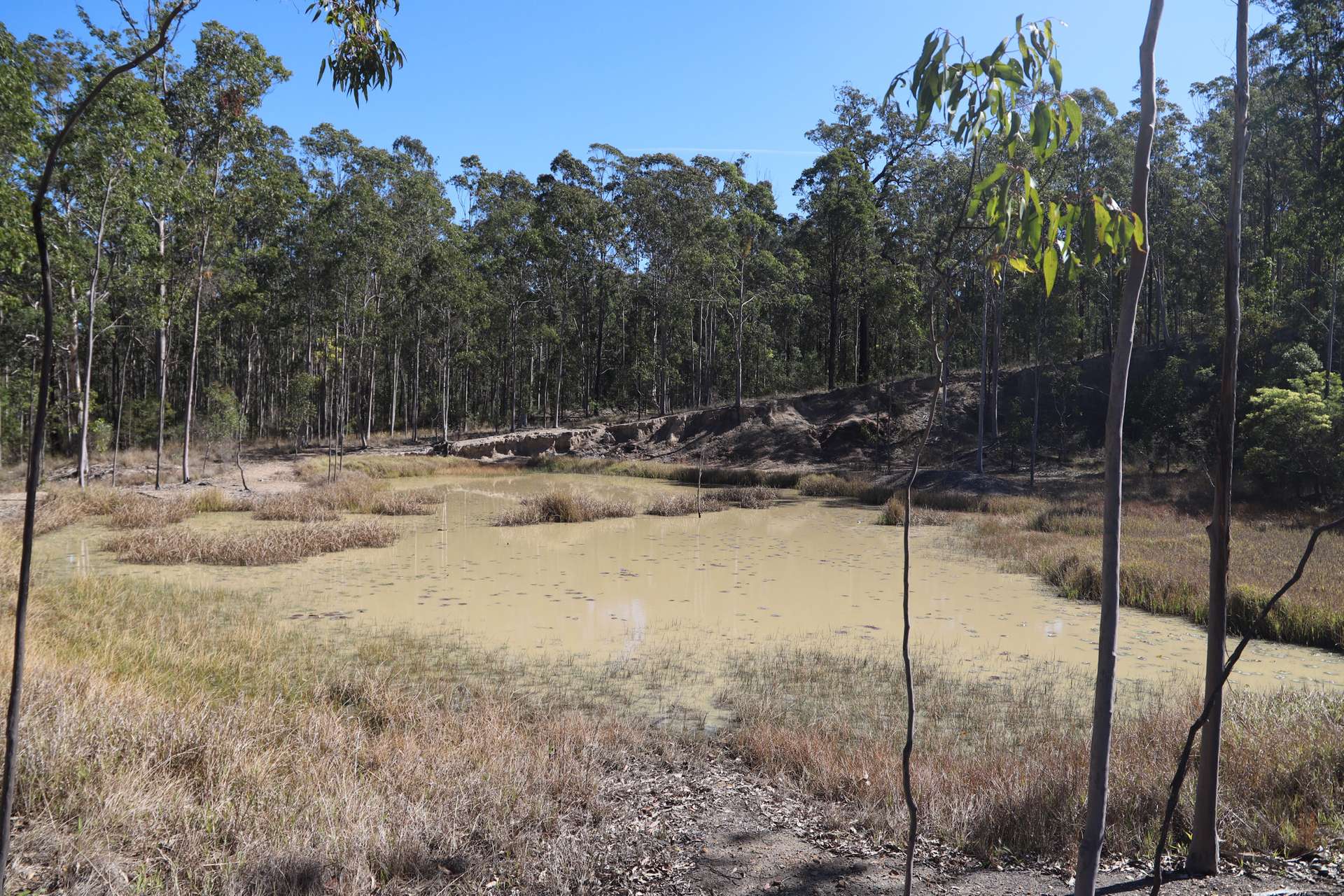 145 Coalmine Road, Nymboida For Sale by Farmbuy.com - image 2