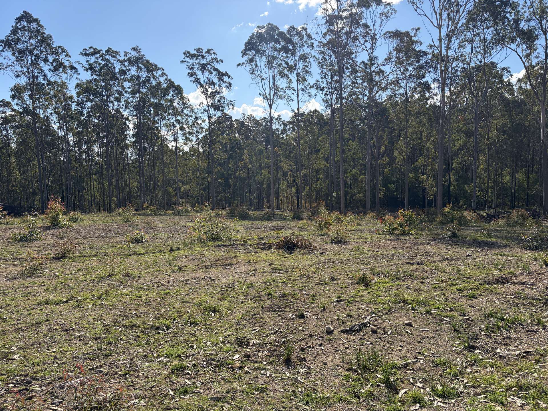 145 Coalmine Road, Nymboida For Sale by Farmbuy.com - image 10