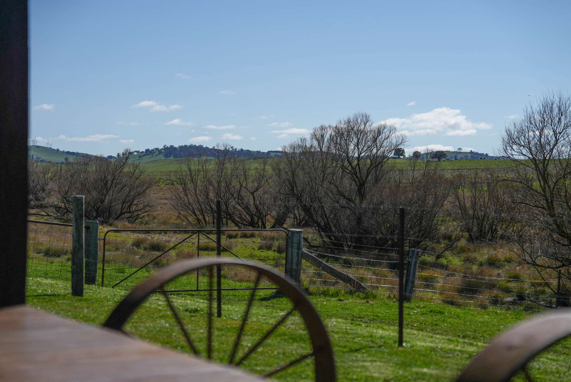 1377 Mandurama Road, Neville Auction by Farmbuy.com - image 30