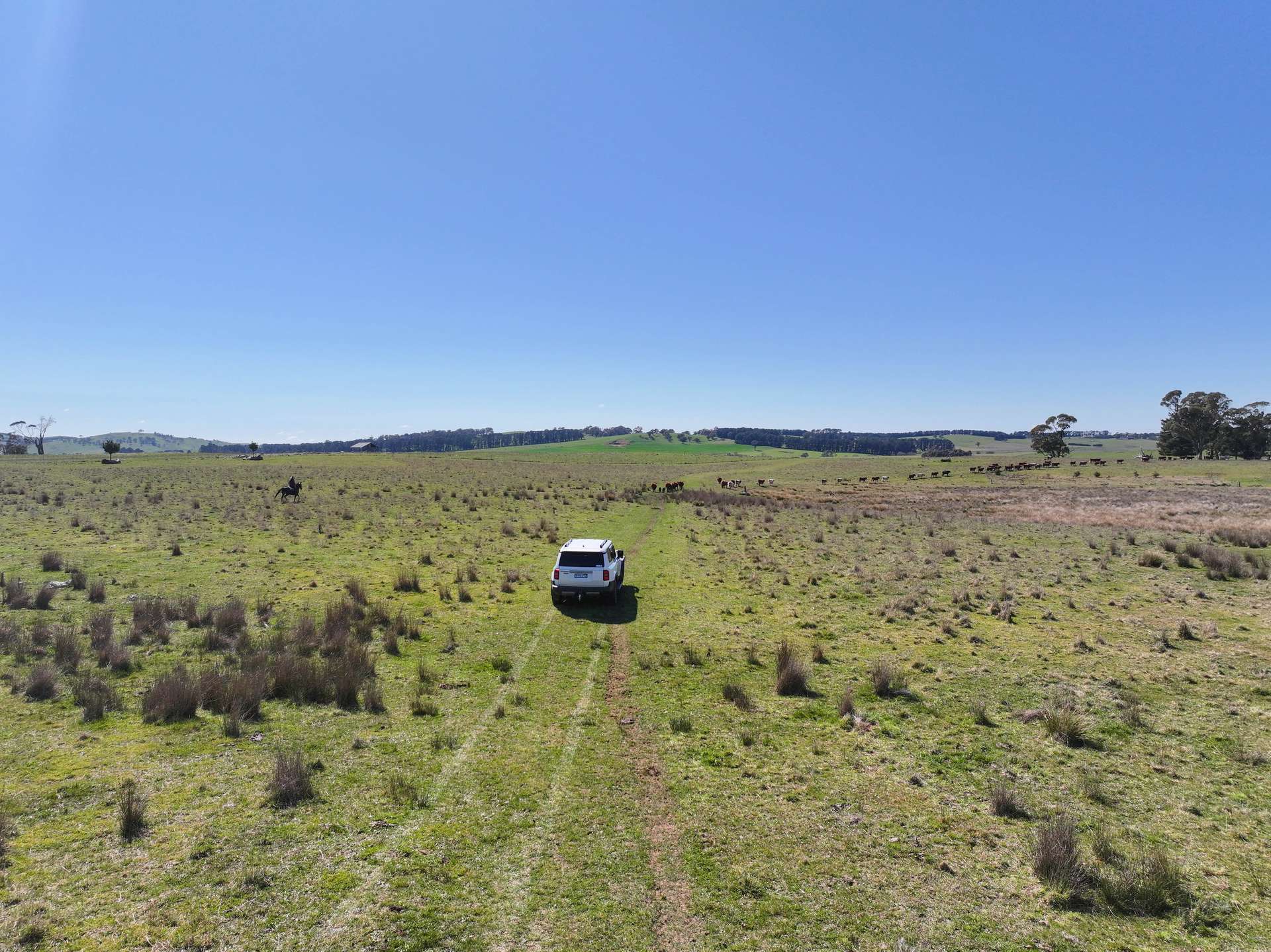 1377 Mandurama Road, Neville Auction by Farmbuy.com - image 18