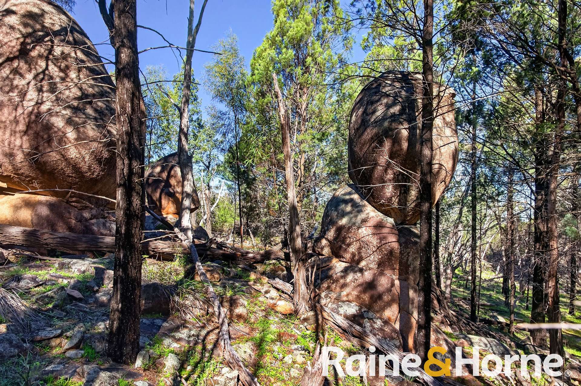 8105 Newell Highway, Dubbo For Sale by Farmbuy.com - image 28