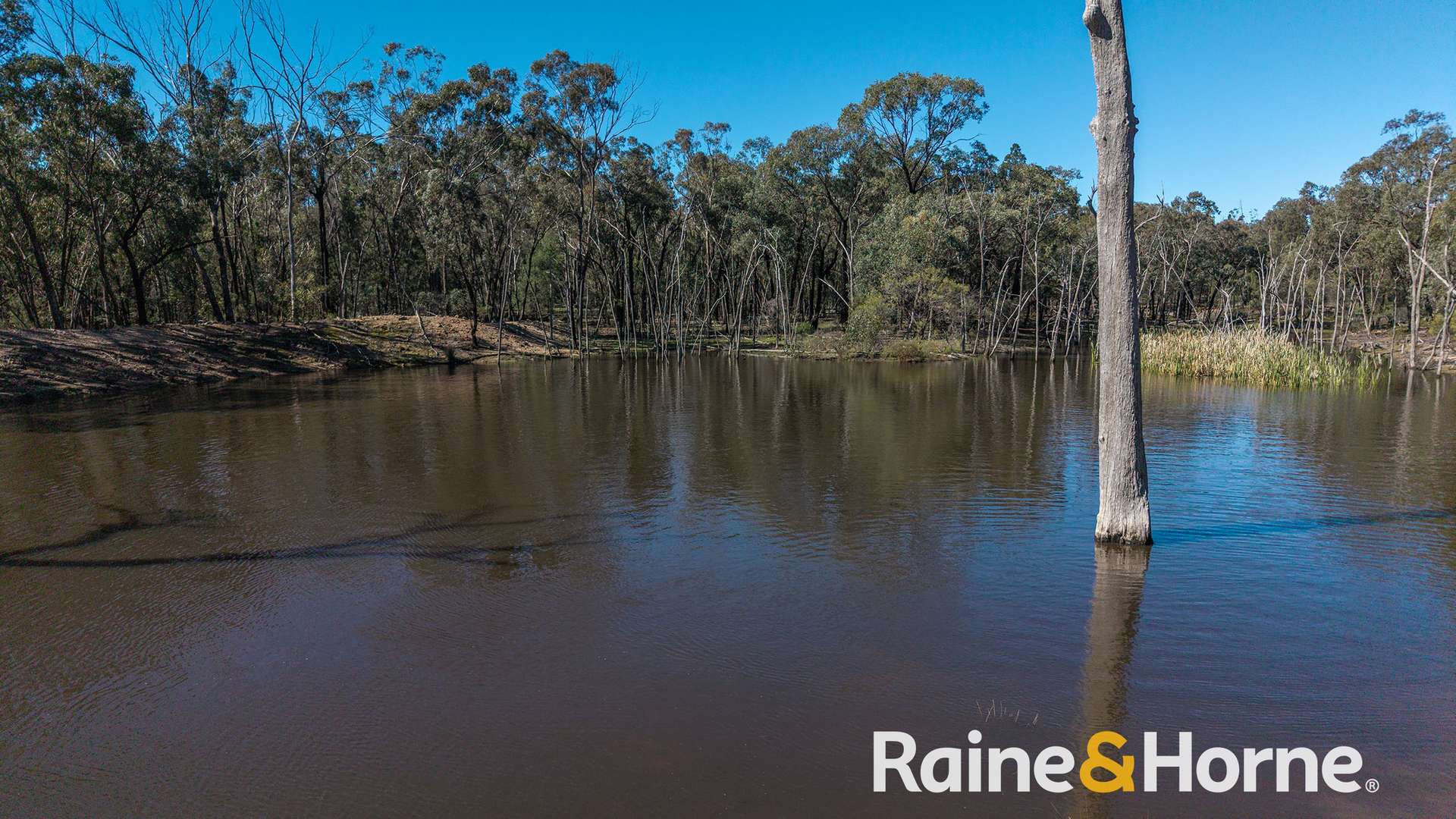 8105 Newell Highway, Dubbo For Sale by Farmbuy.com - image 35