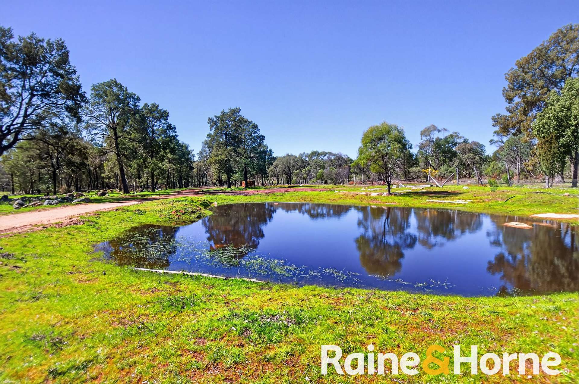 8105 Newell Highway, Dubbo For Sale by Farmbuy.com - image 24