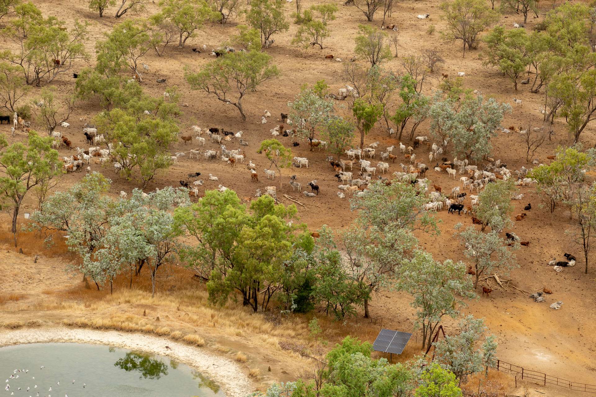 3865 Stuart Highway, Birdum For Sale by Farmbuy.com - image 11