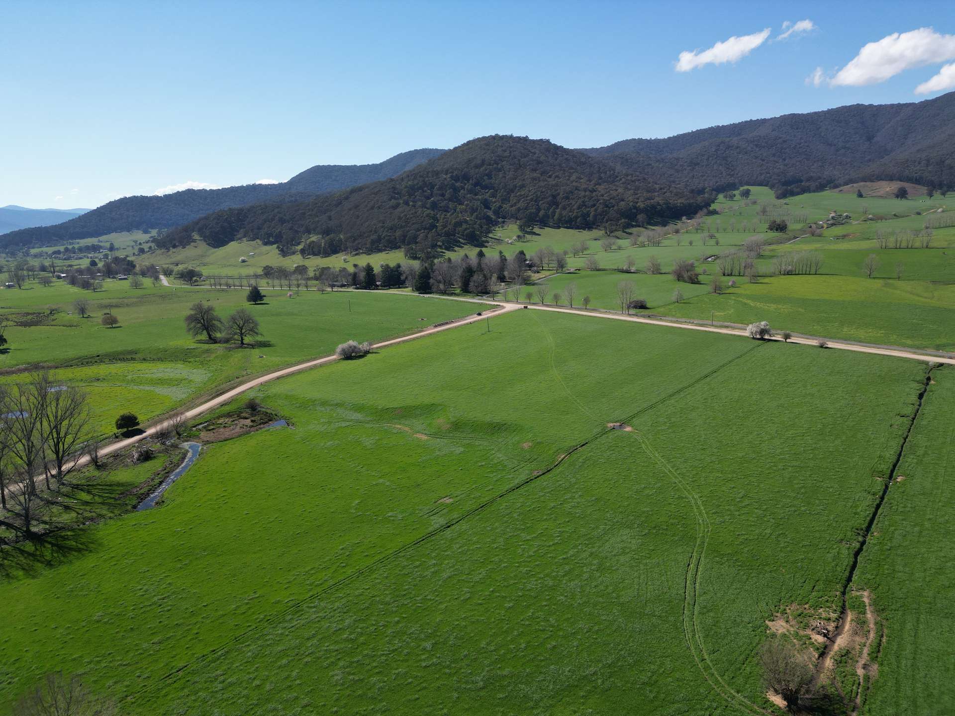 Corner Little Snowy Creek Road, Eskdale For Sale by Farmbuy.com - image 6