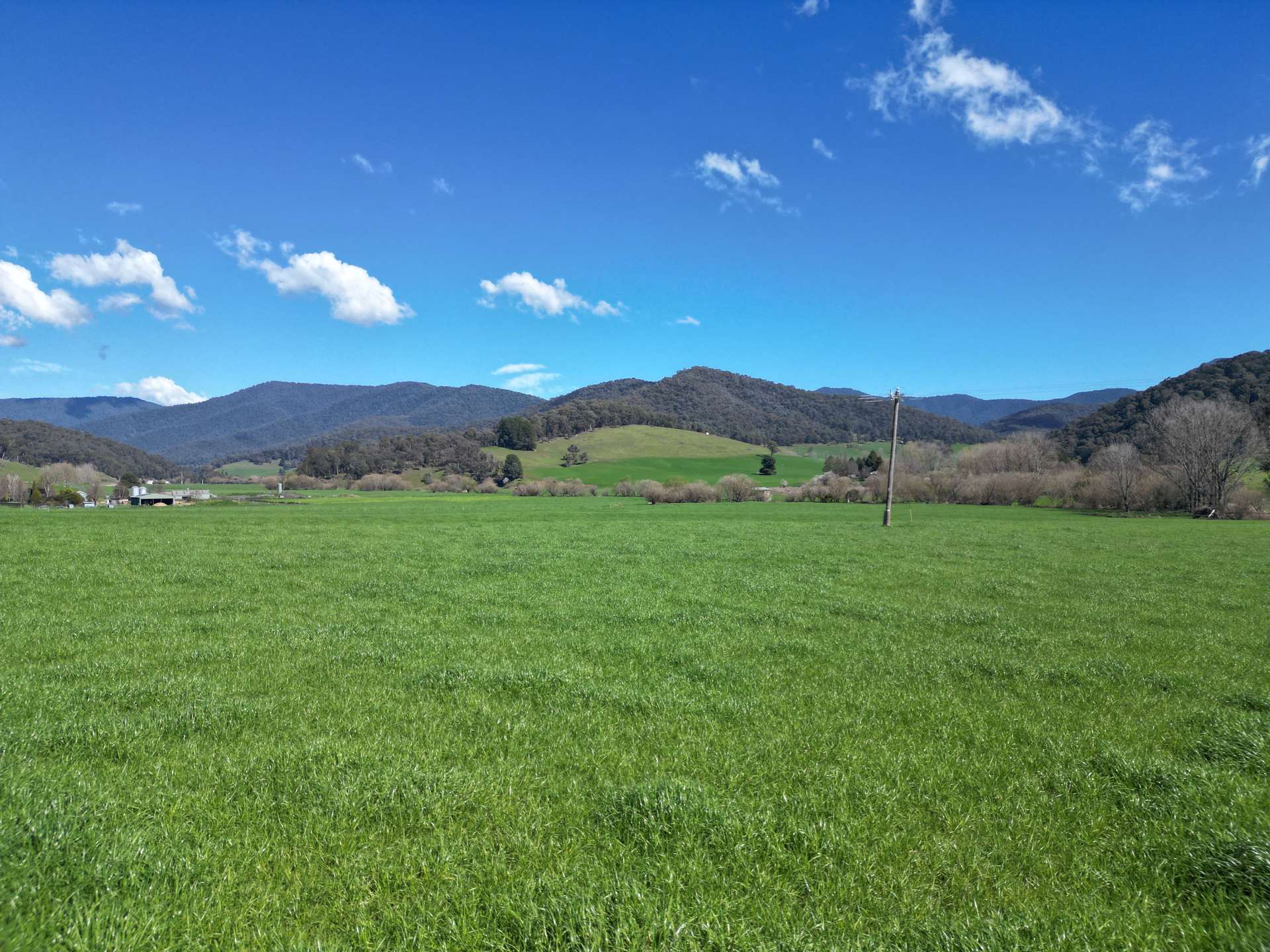 Corner Little Snowy Creek Road, Eskdale For Sale by Farmbuy.com - image 5